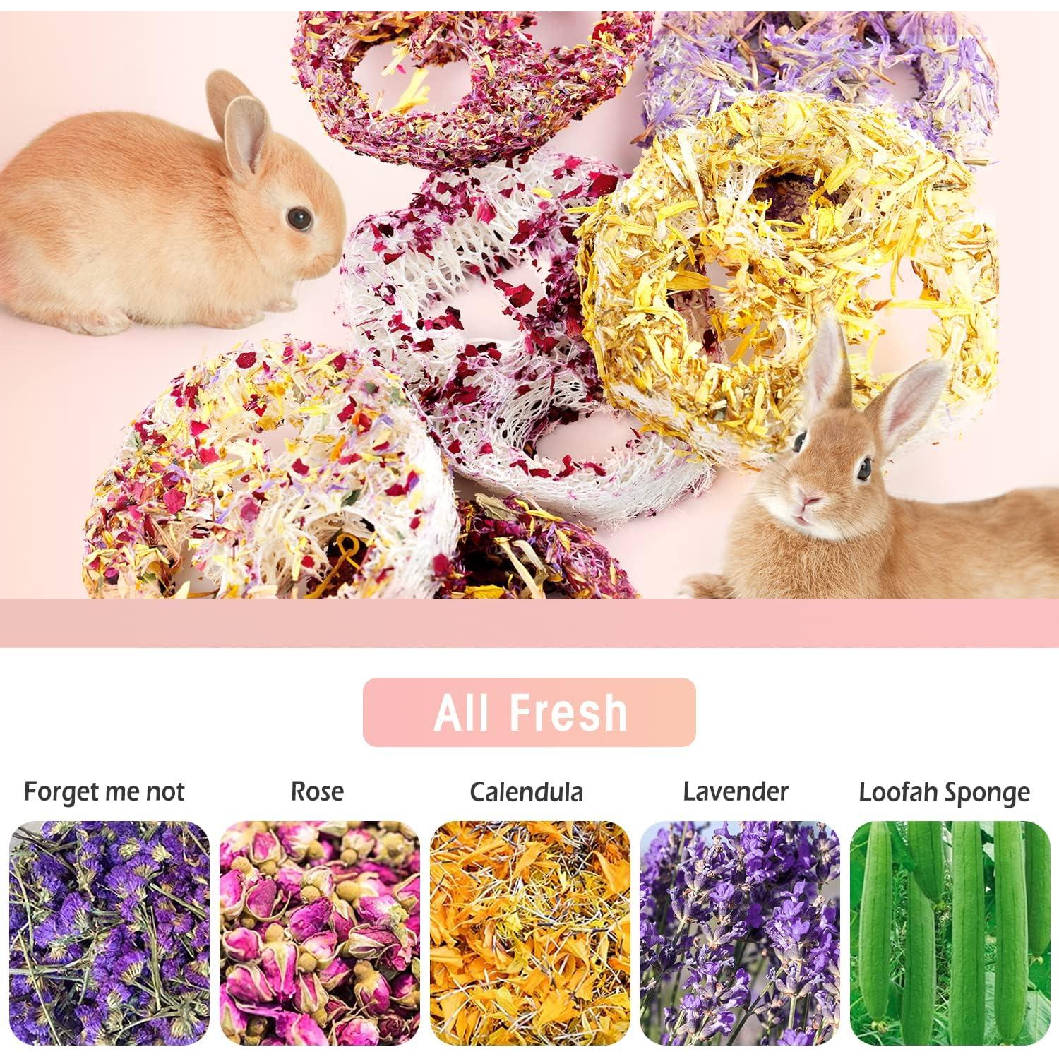 Juguetes Masticables de Lufa Orgánica FiveBull para Mascotas