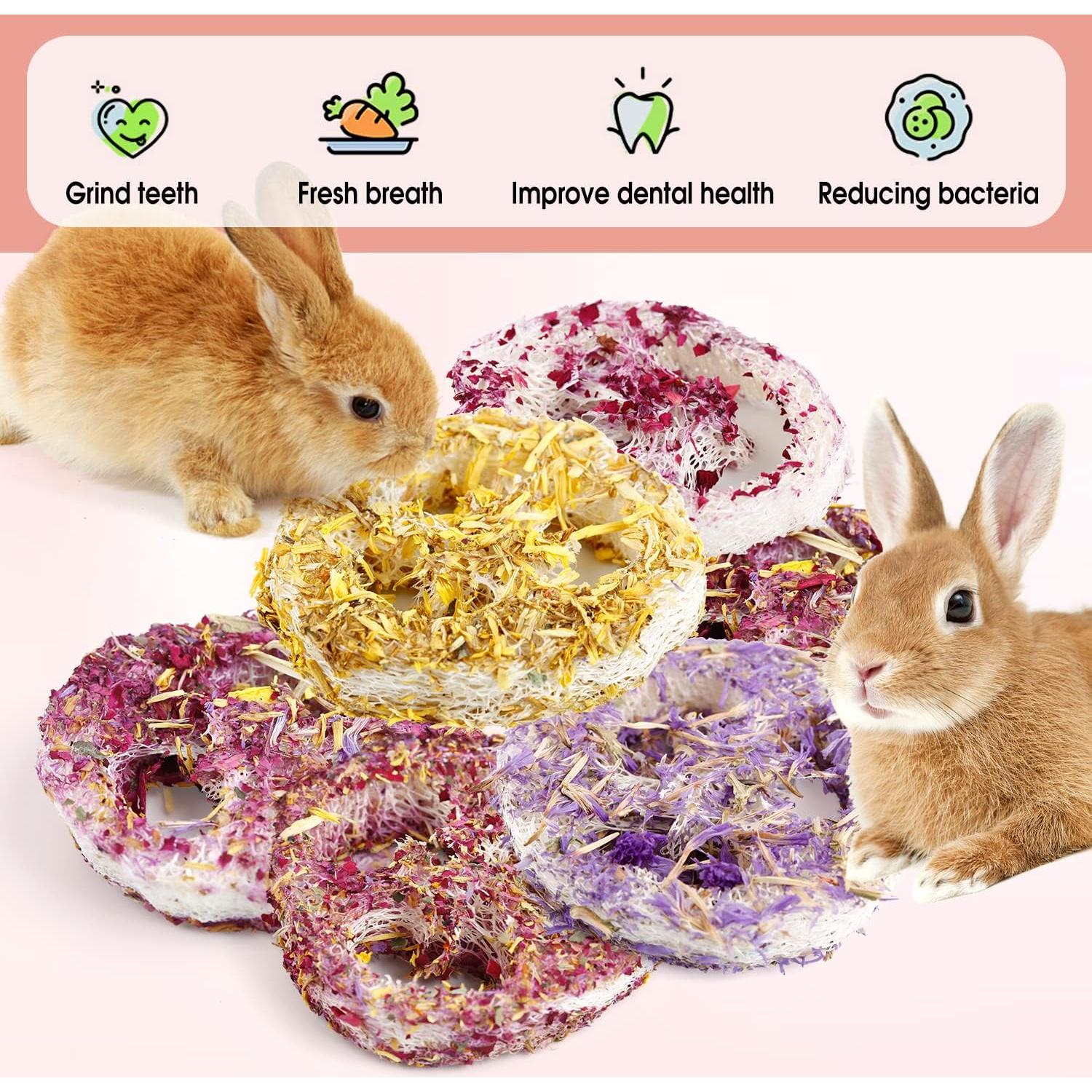 Juguetes Masticables de Lufa Orgánica FiveBull para Mascotas