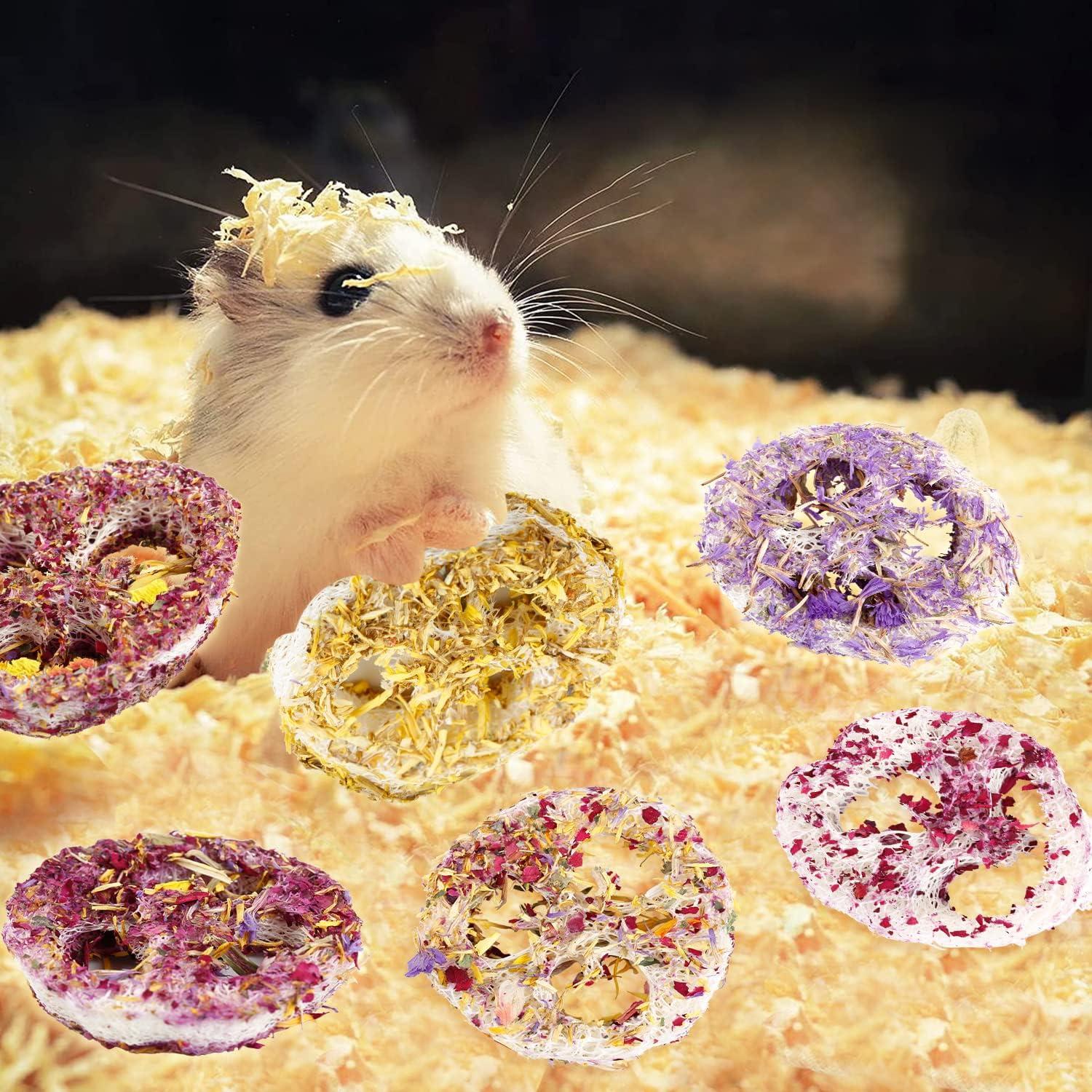 Juguetes Masticables de Lufa Orgánica FiveBull para Mascotas