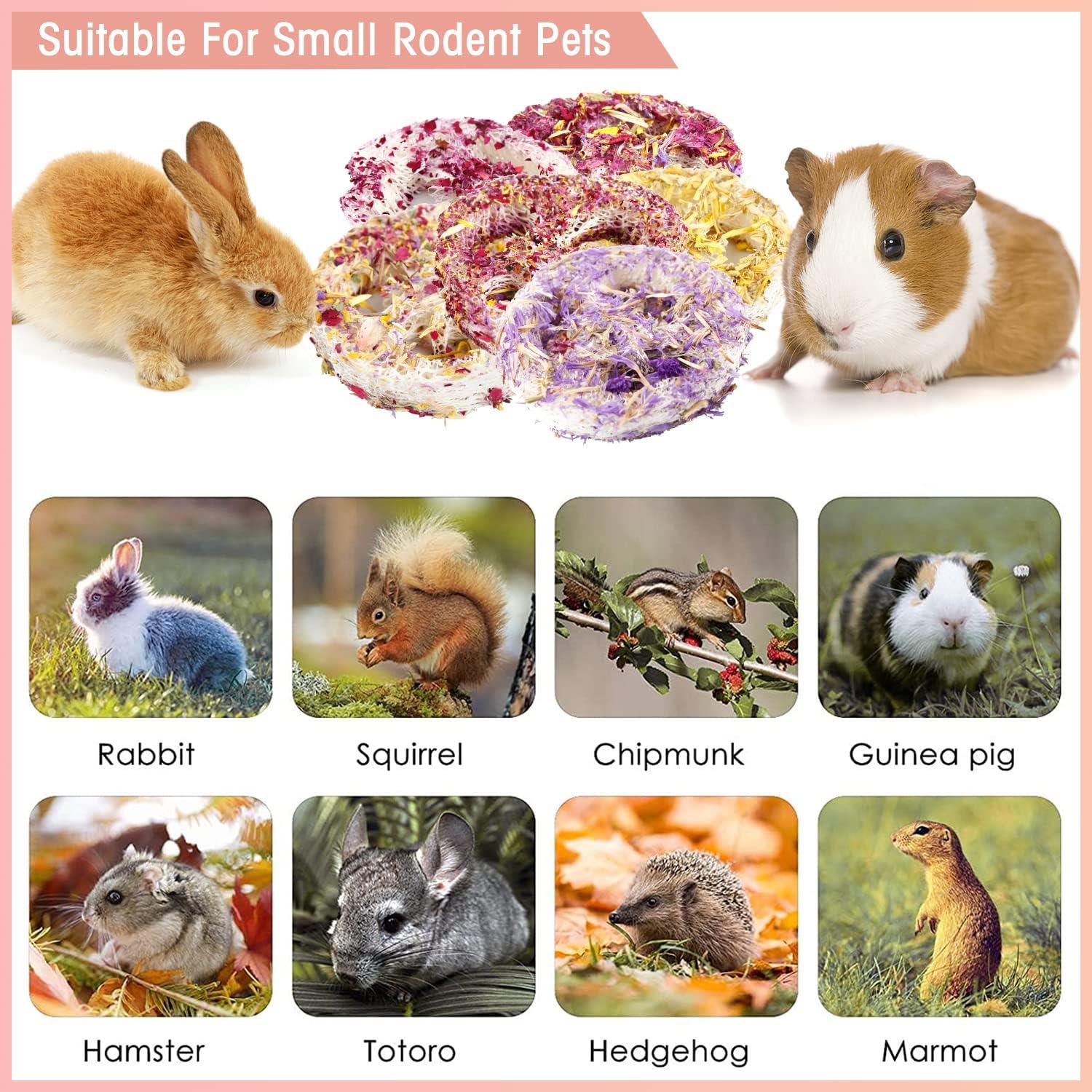 Juguetes Masticables de Lufa Orgánica FiveBull para Mascotas