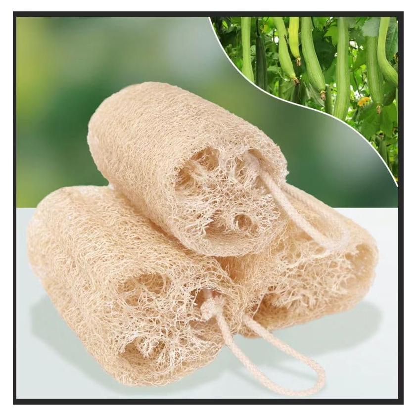 Esponja de Lufa Natural ShunQing 15.24 cm para Cocina y Baño