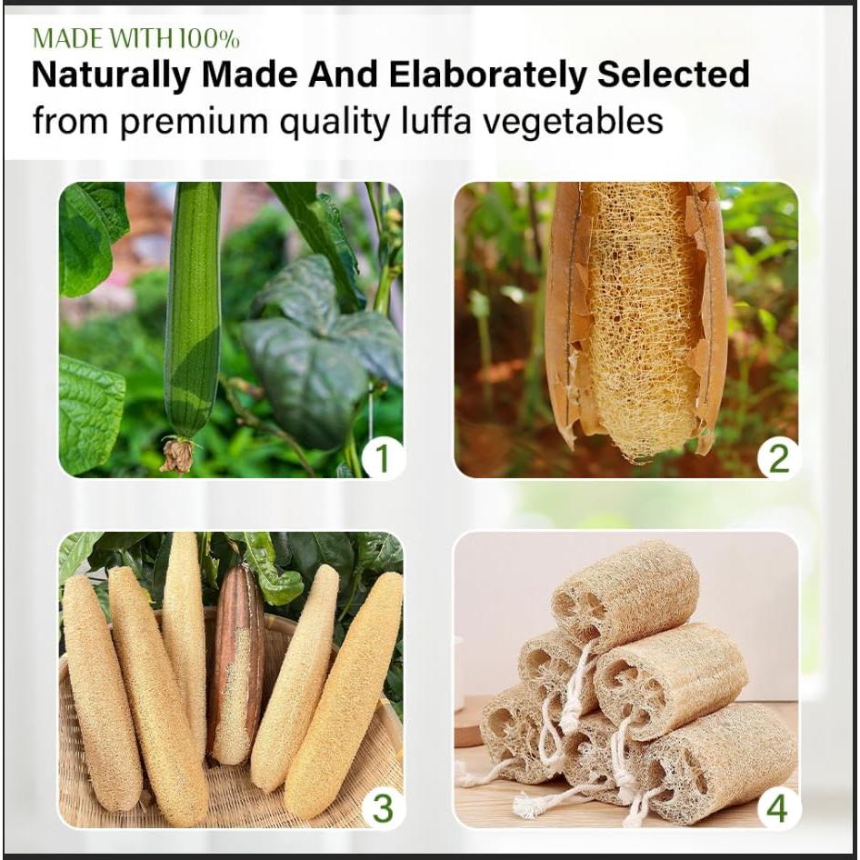 Esponja de Lufa Natural ShunQing 15.24 cm para Cocina y Baño