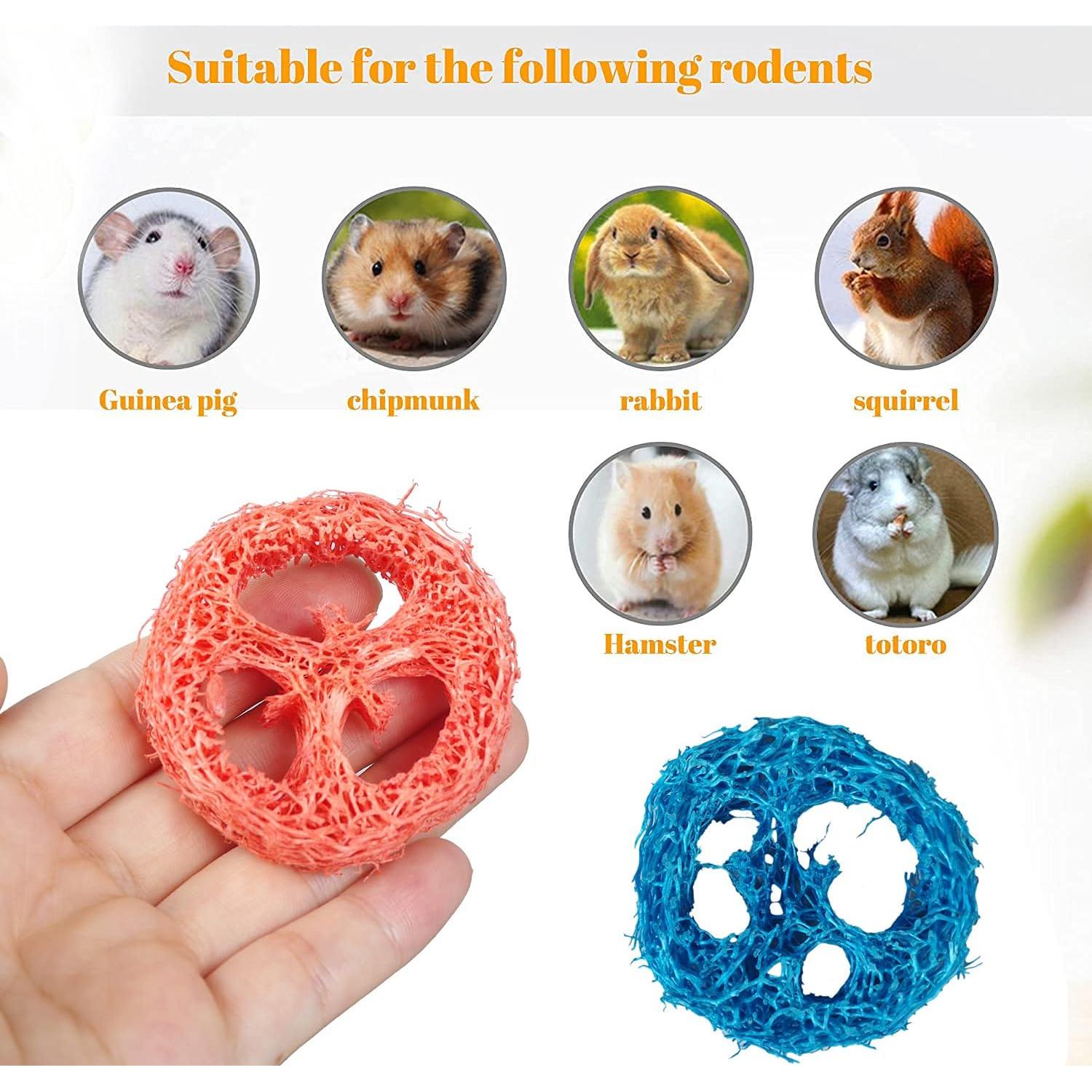 20 Juguetes de Masticar de Lufa Natural para Conejos - LIJIAN'S SHOP