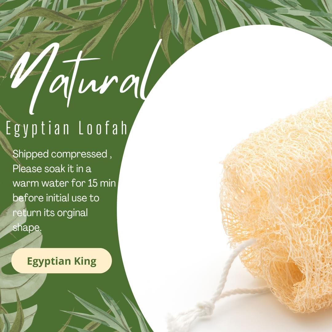Esponjas de Luffa Natural Egipcia Orgánica Rey Egipcio - 2 Unidades