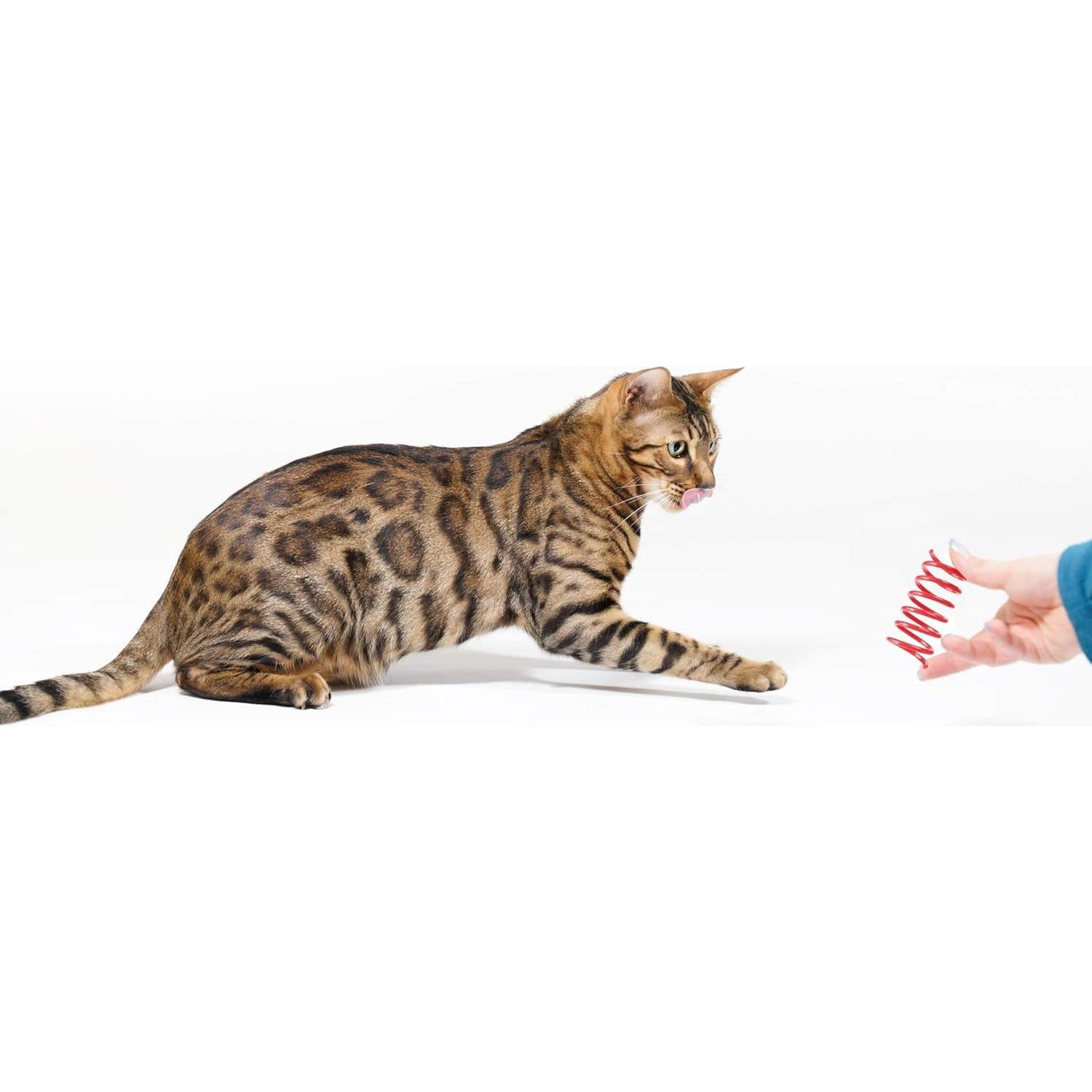 Juguetes para Gatos TAMU - 60 Resortes Coloridos 5.08 cm