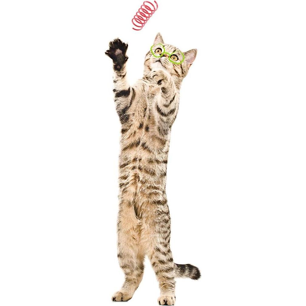 Juguetes para Gatos TAMU - 60 Resortes Coloridos 5.08 cm