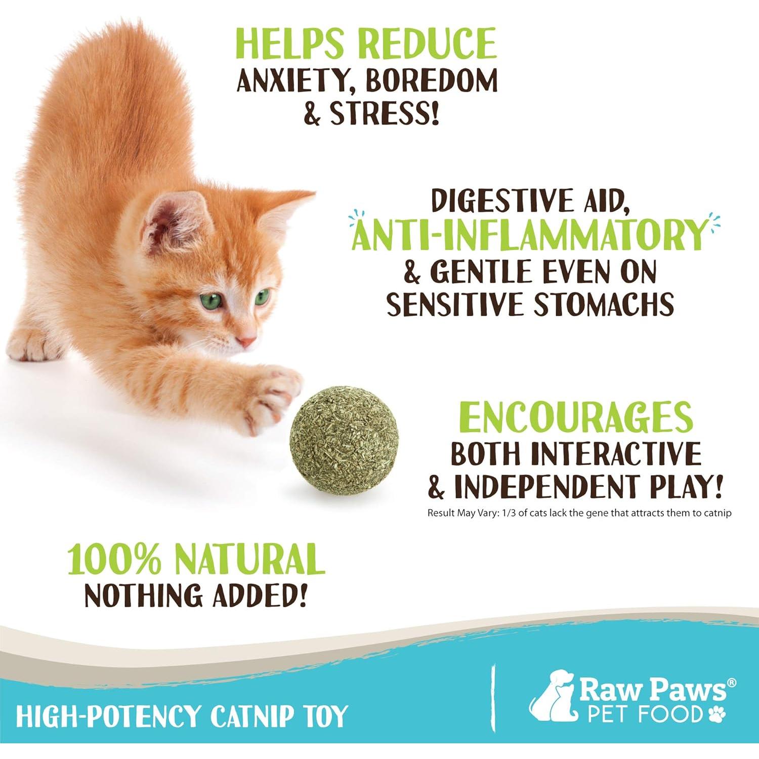 Bolas de Catnip 100% Naturales Raw Paws - 6 Unidades