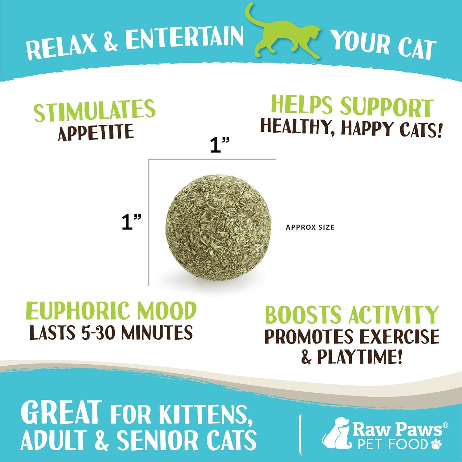 Bolas de Catnip 100% Naturales Raw Paws - 6 Unidades