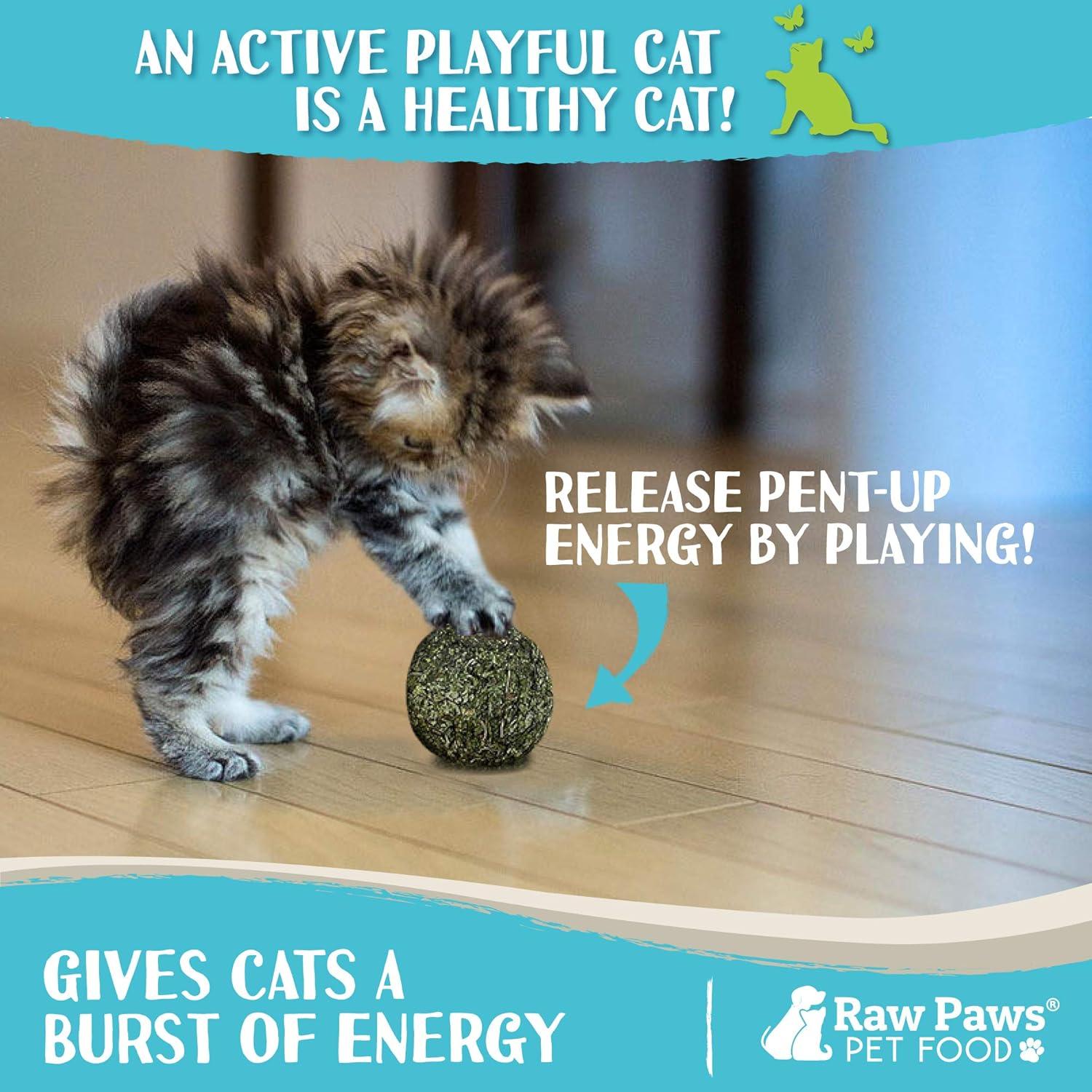 Bolas de Catnip 100% Naturales Raw Paws - 6 Unidades