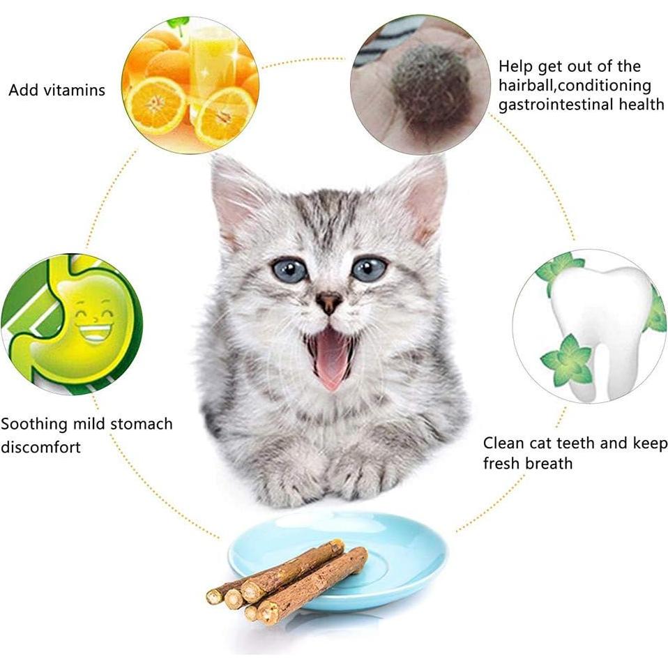 10 Palos de Silvervine Naturales WoLover para Gatos