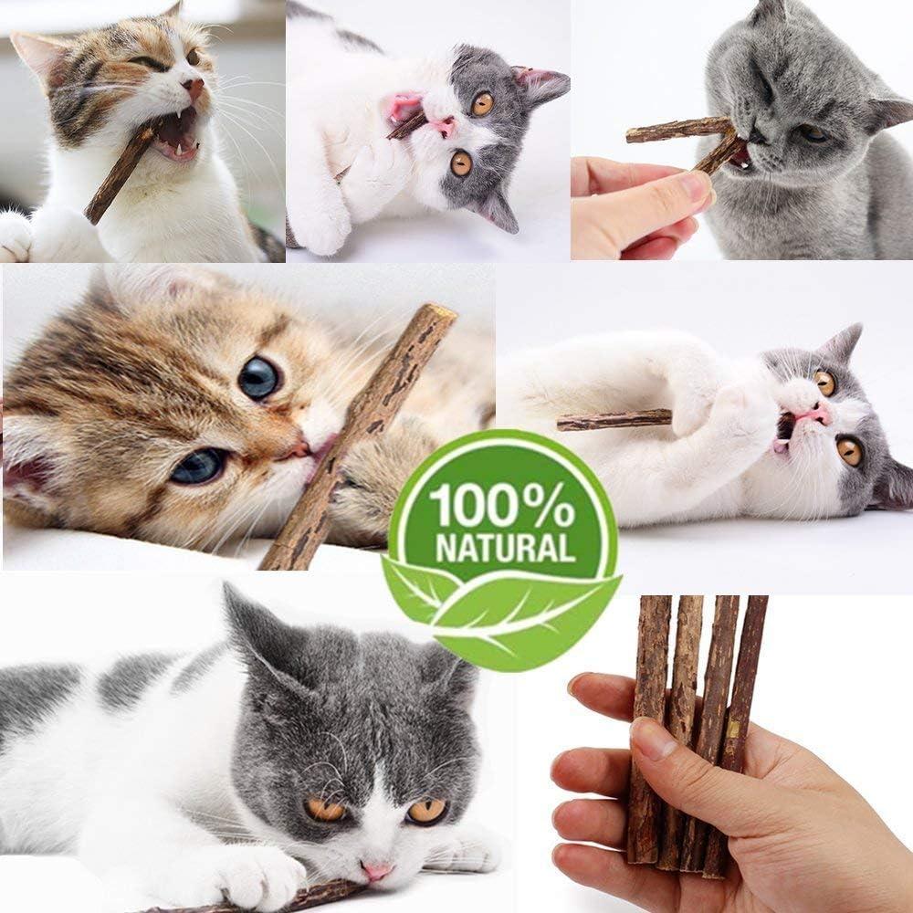 10 Palos de Silvervine Naturales WoLover para Gatos