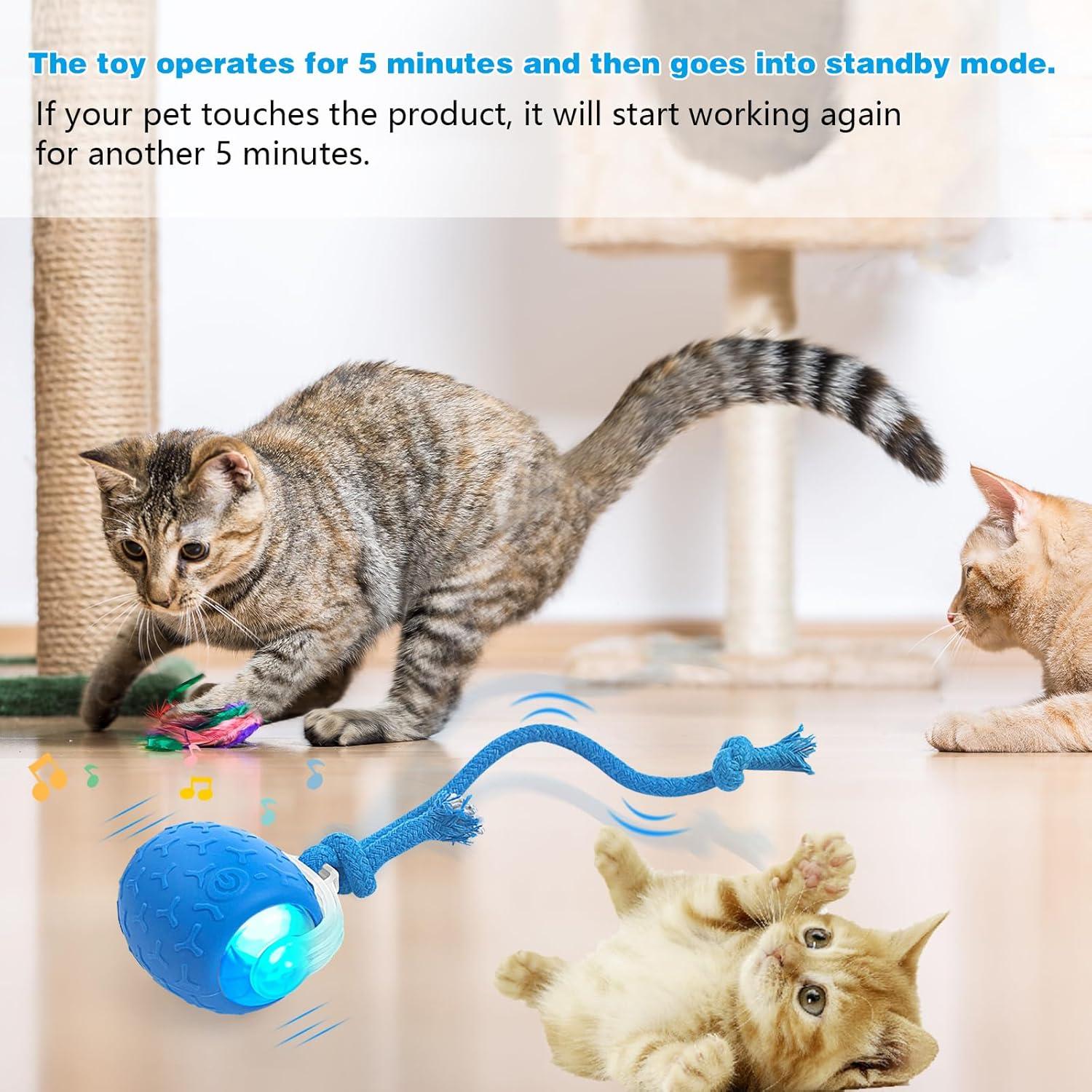 Bola Interactiva para Gatos LEUCITE Azul Recargable 600mAh