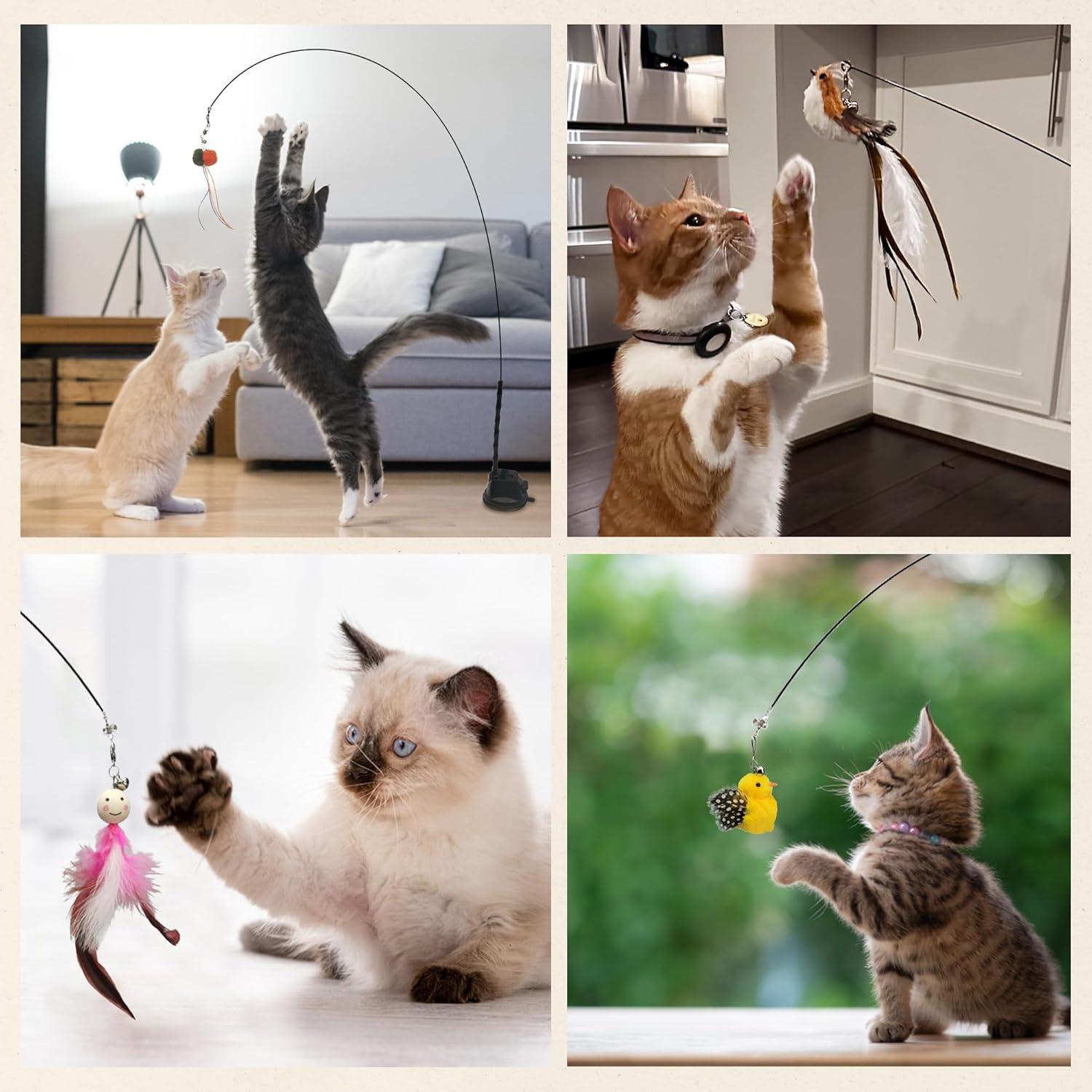Set de Juguetes Interactivos para Gatos Cutie Paw Pal LQZ