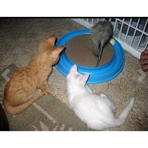 Rascador para Gatos AUOON con Pista de Pelota y Ratón - Azul