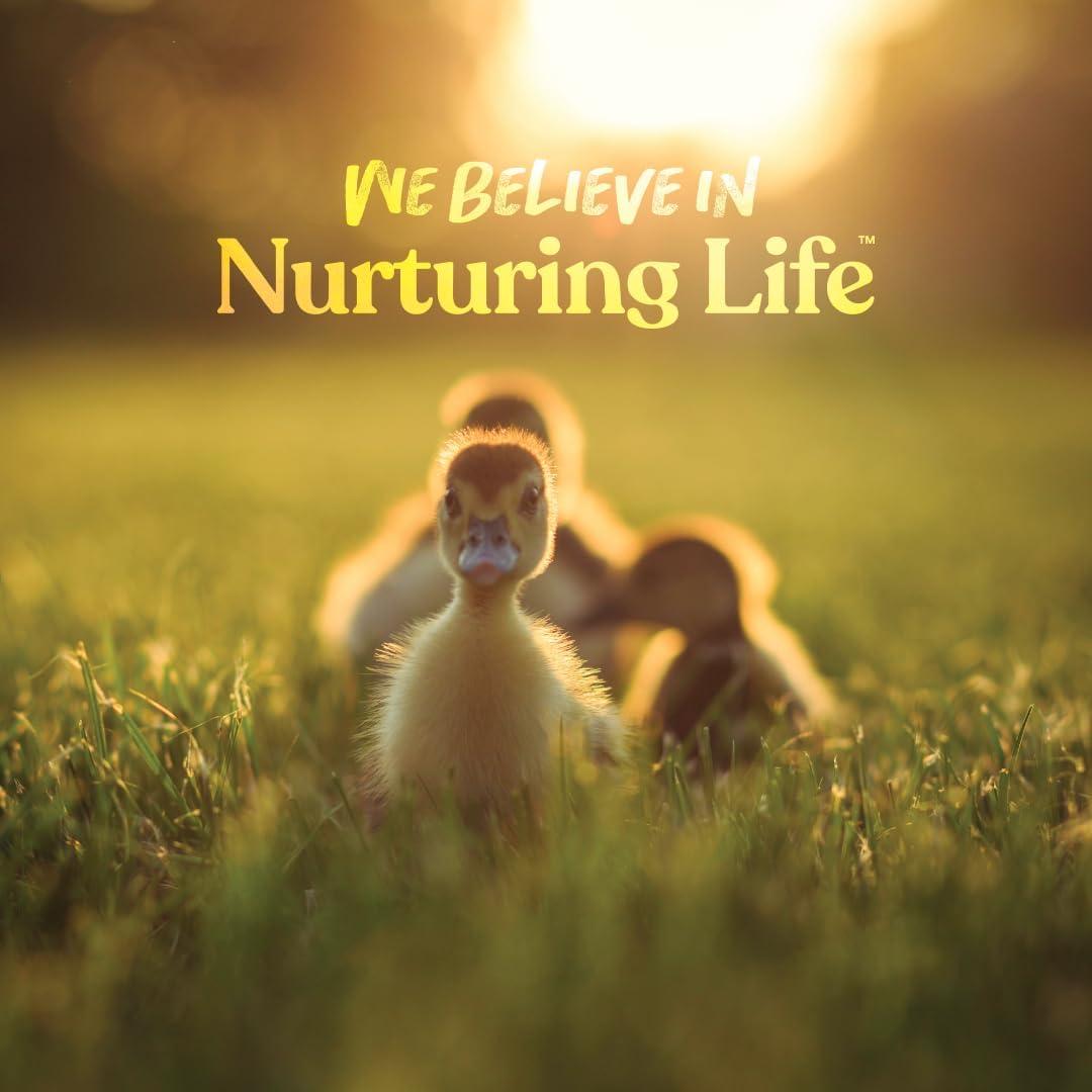 Alimento Inicial para Patos Manna Pro 3.63 kg - Sin Antibioticos