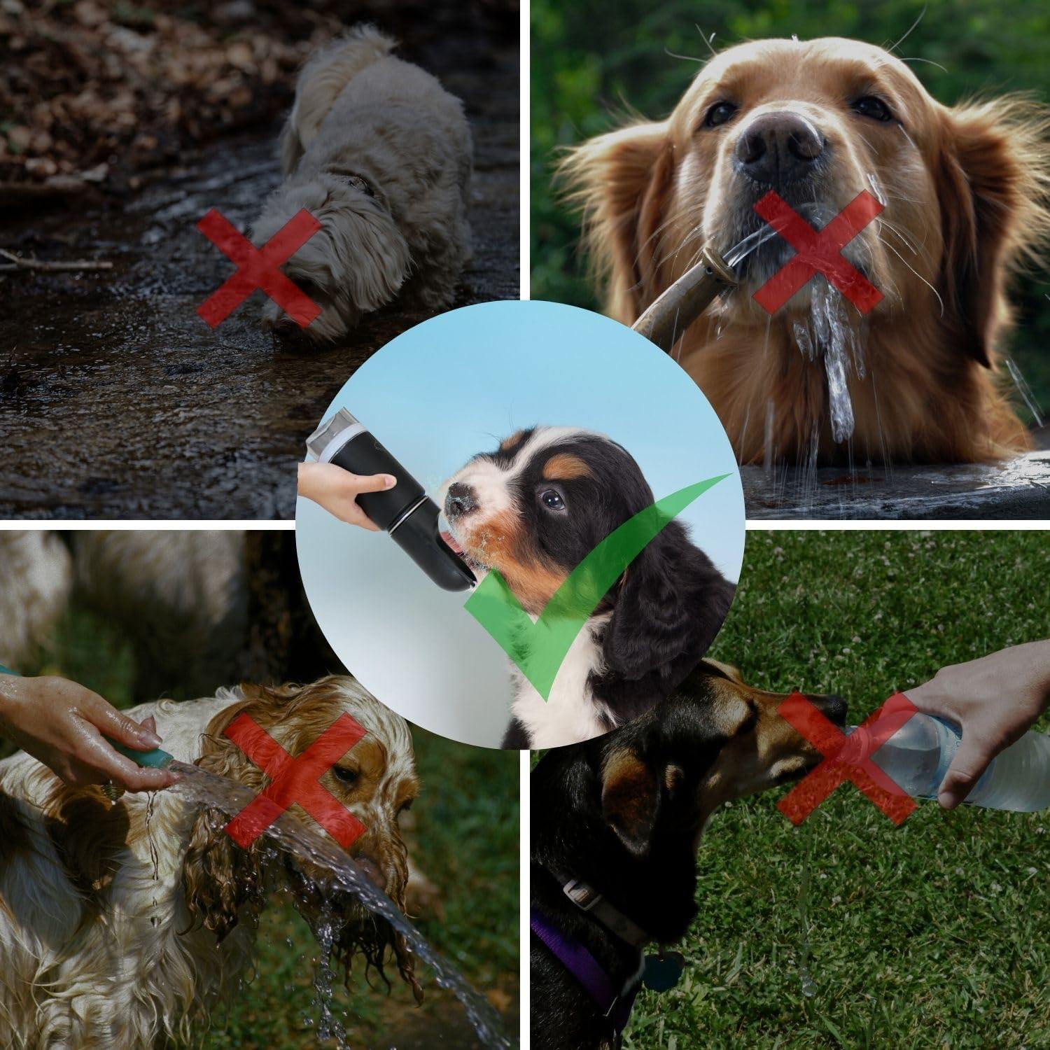 Botella de Agua para Perros VENNEX 414ML Acero Inoxidable