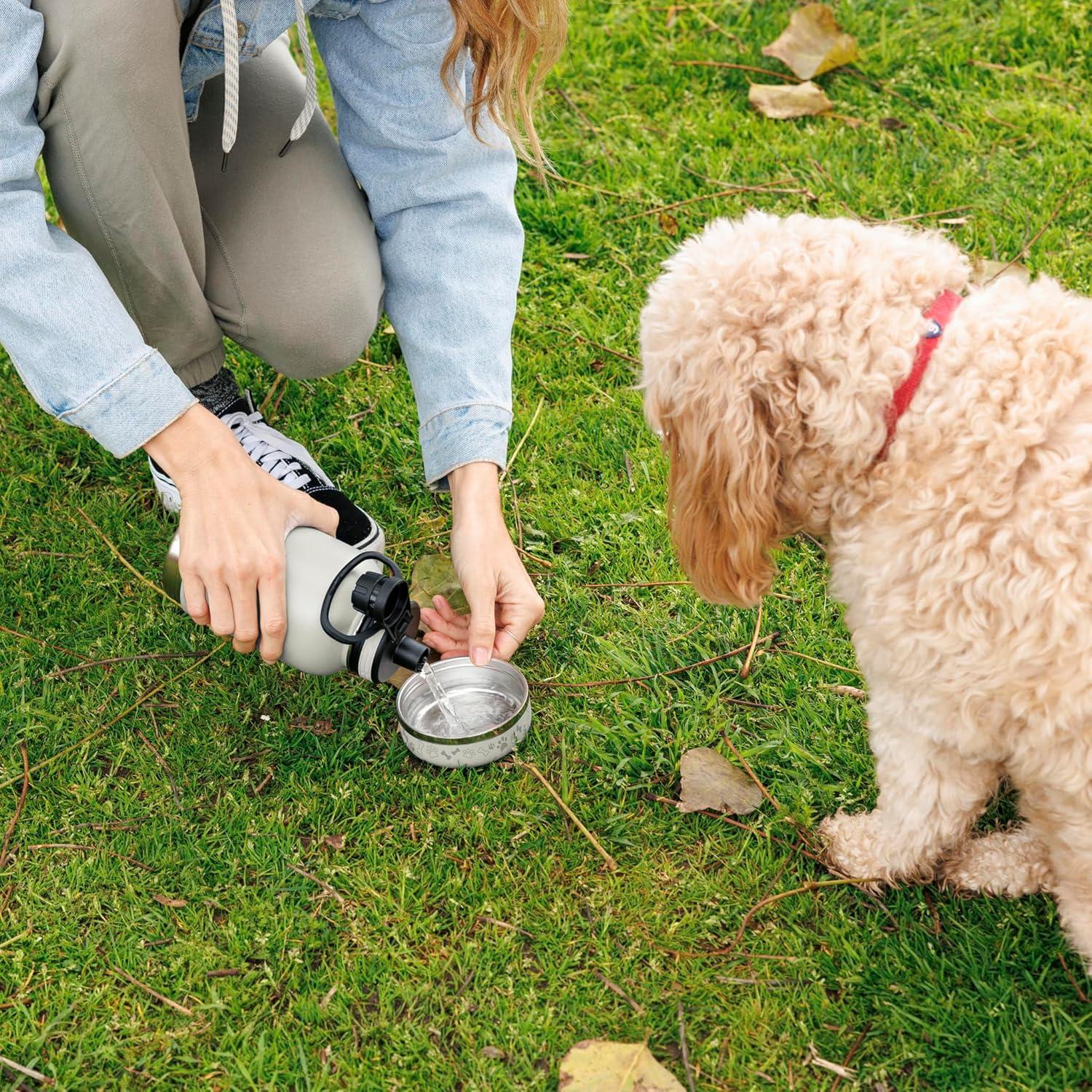 Botella de Agua Aislada para Mascotas ThermoFlask 0.95L