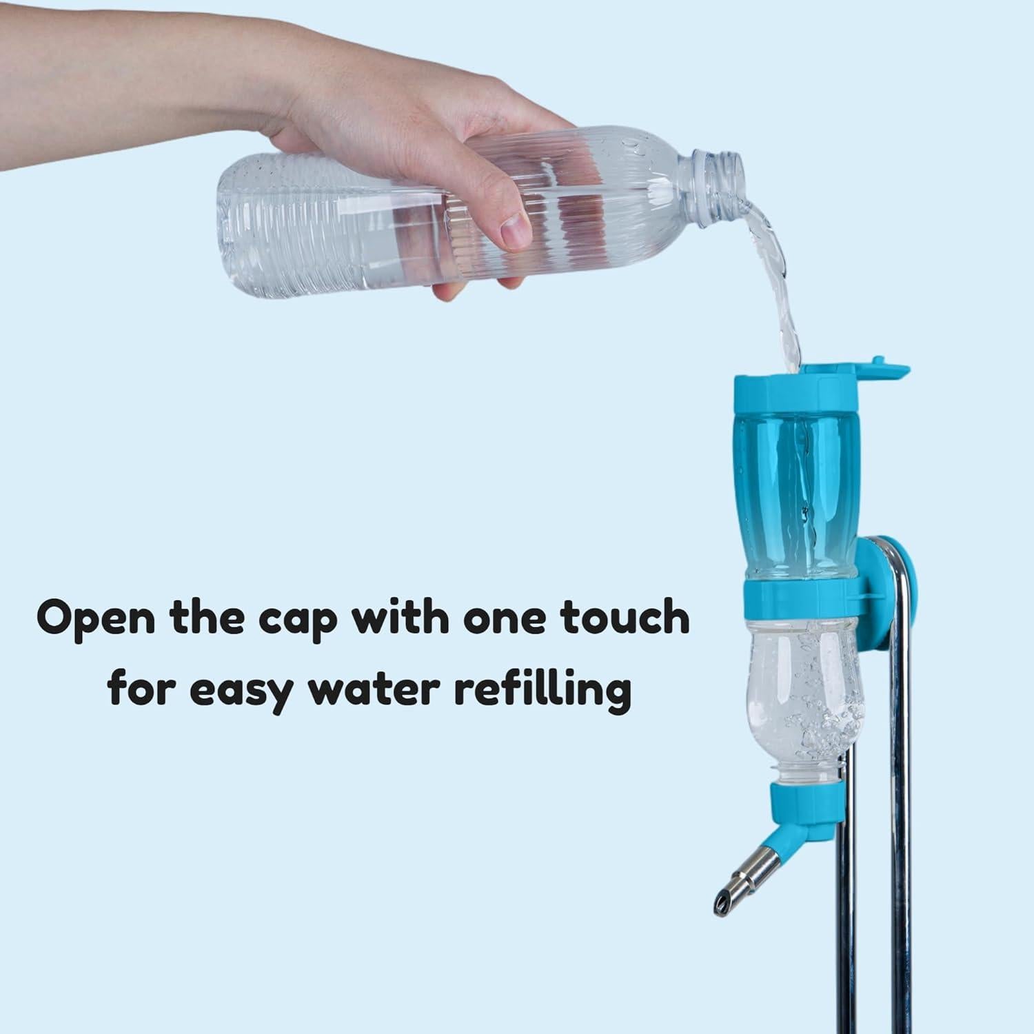 Botella de Agua a Prueba de Fugas Birds Day 230 ml Azul