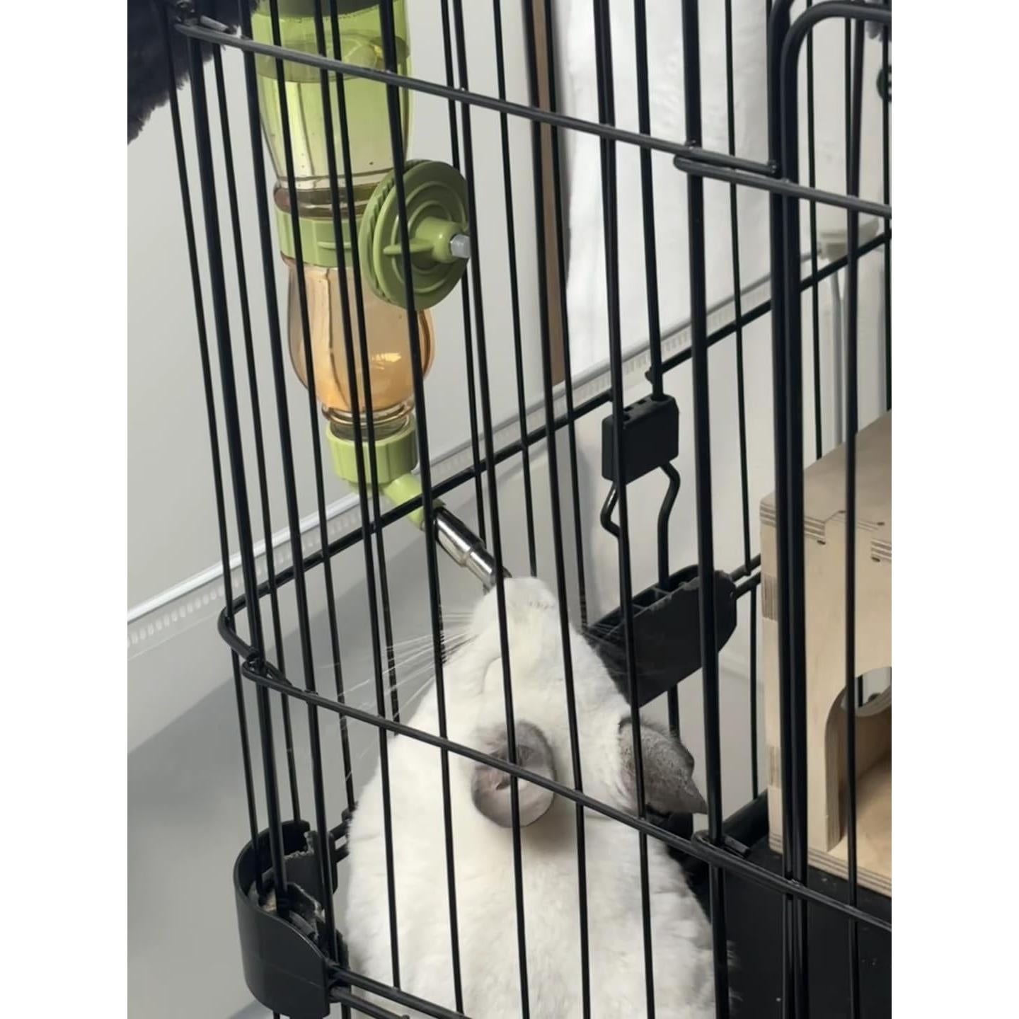 Botella de Agua a Prueba de Fugas Birds Day 230 ml Azul