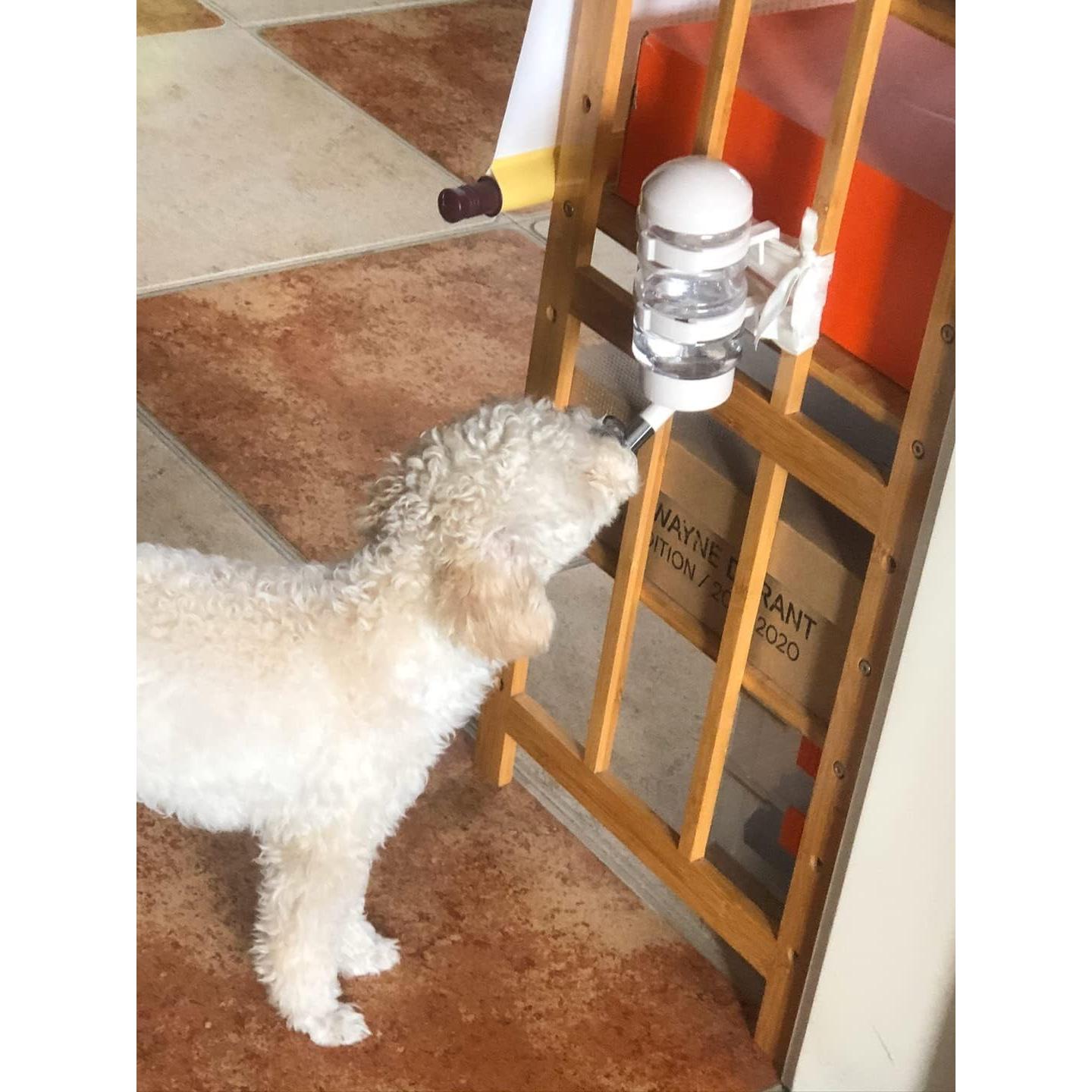 Dispensador de Agua para Mascotas OxyPlay 400ml Sin Goteo