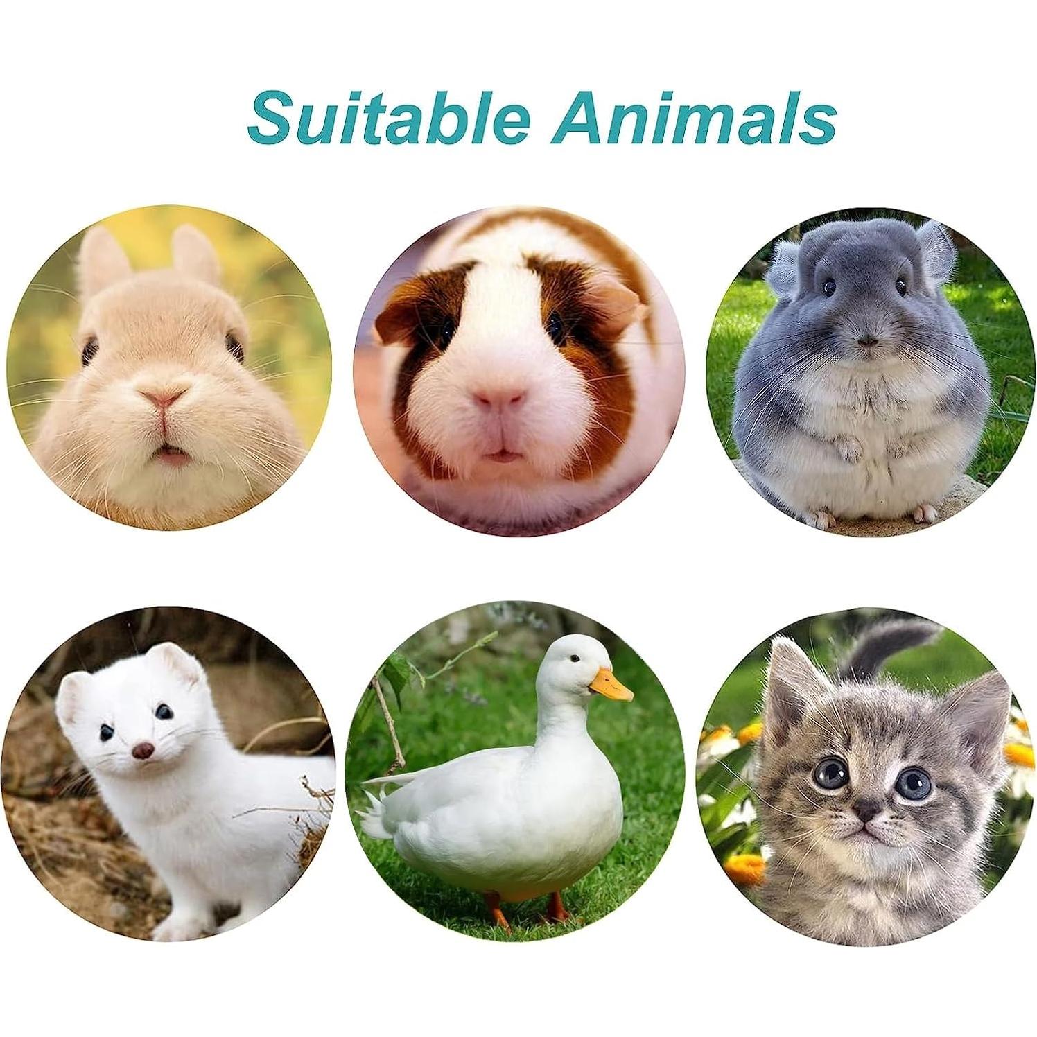 Botella de Agua Automática para Conejos 500 ML Kathson Azul