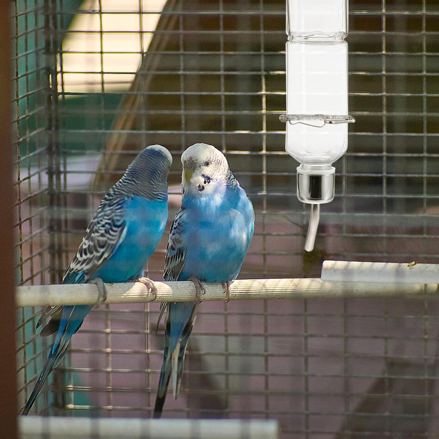 Botella de Agua Automática Balacoo 180ml para Conejos y Cobayas