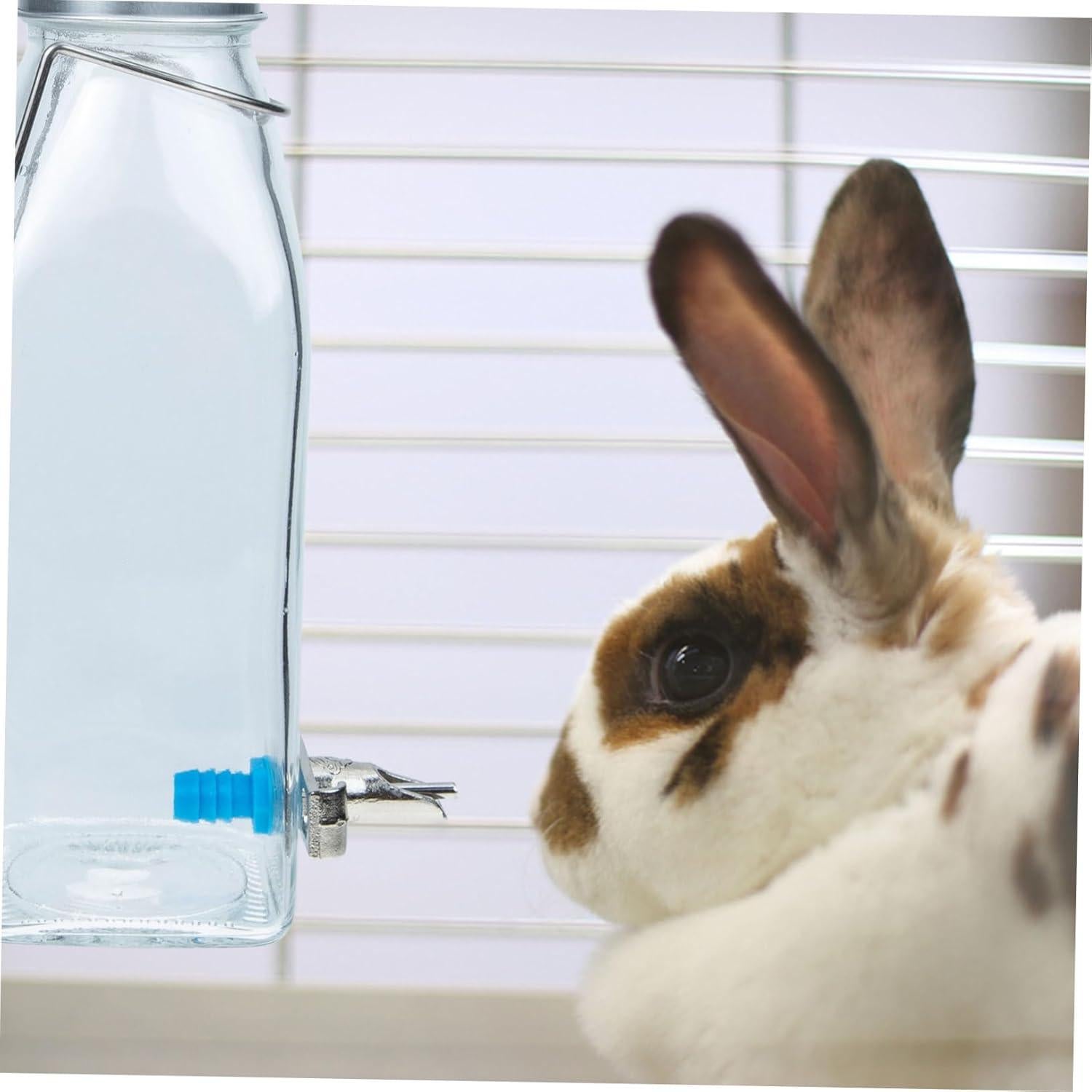 Dispensador de Agua para Mascotas PATKAW Vidrio 16.5cm