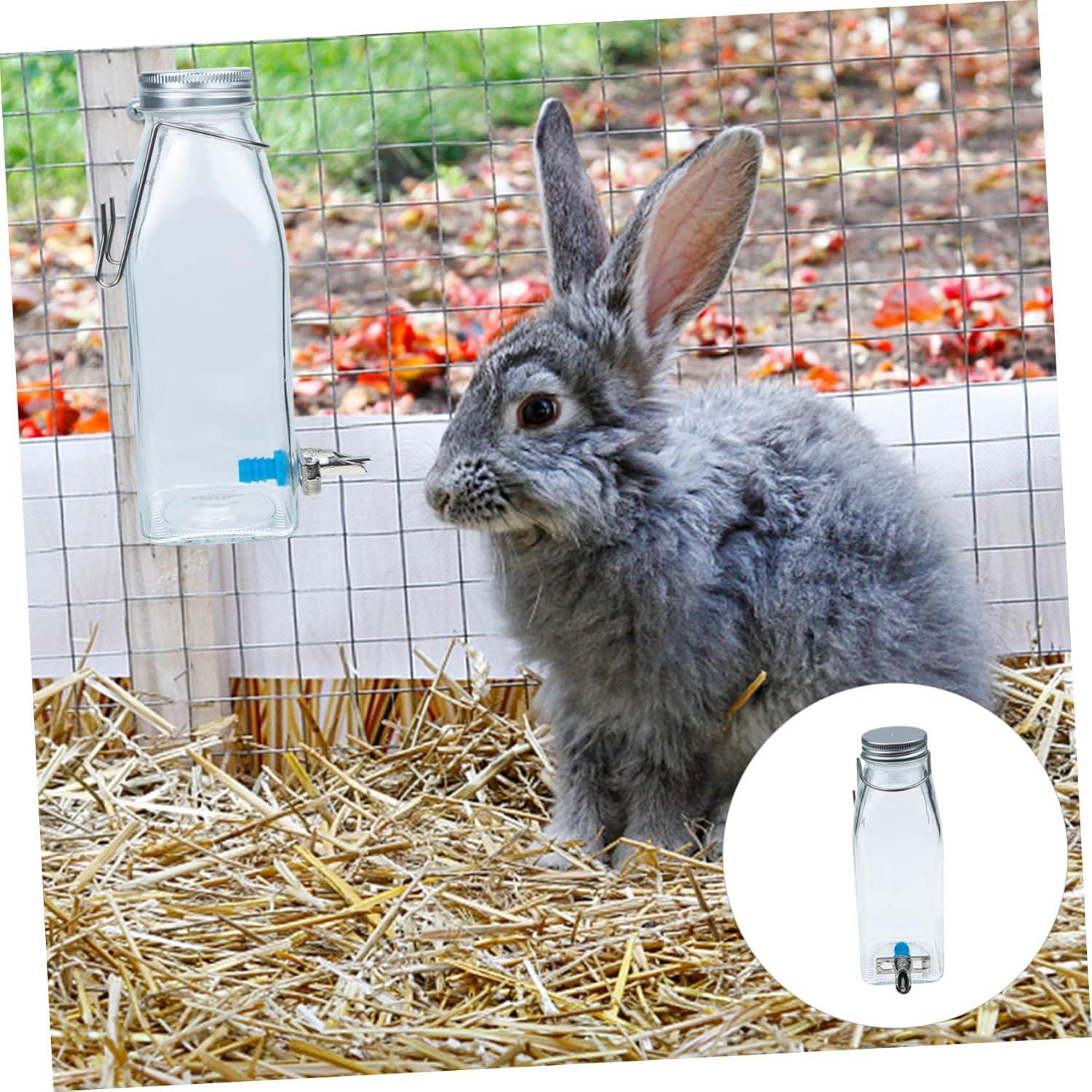 Dispensador de Agua para Mascotas PATKAW Vidrio 16.5cm