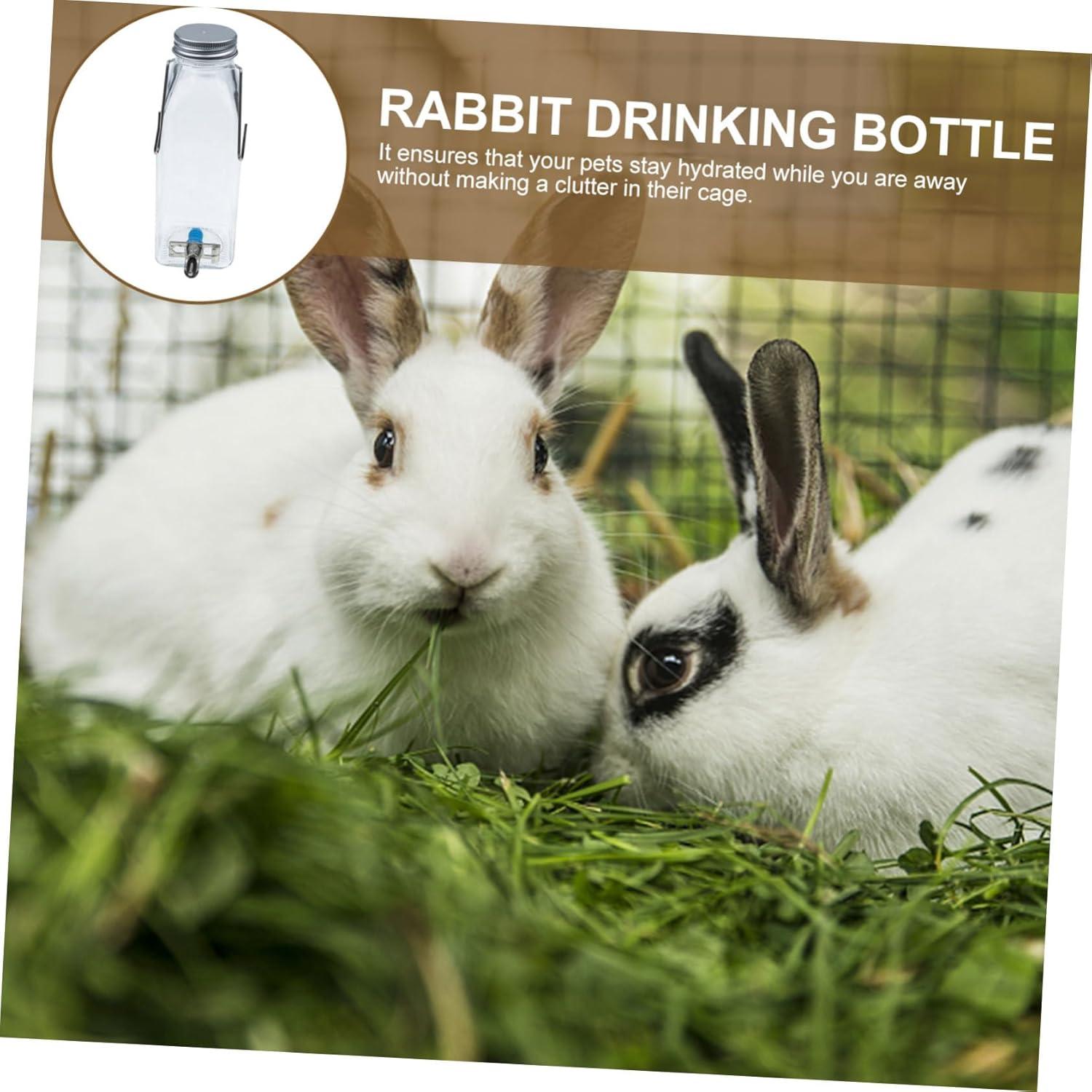 Dispensador de Agua para Mascotas PATKAW Vidrio 16.5cm