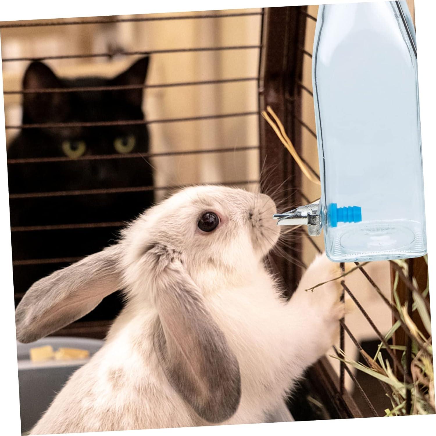 Dispensador de Agua para Mascotas PATKAW Vidrio 16.5cm