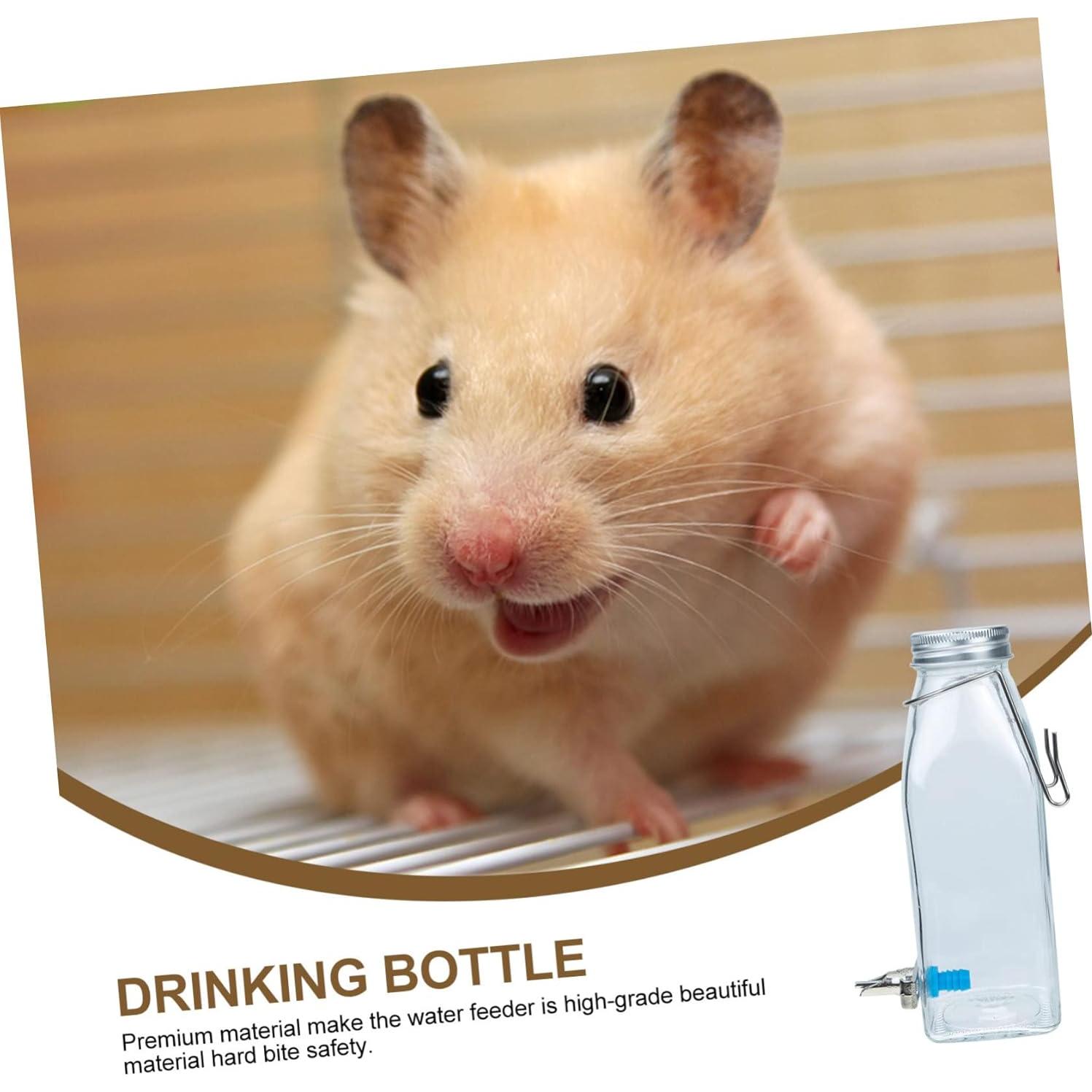 Dispensador de Agua para Mascotas PATKAW Vidrio 16.5cm