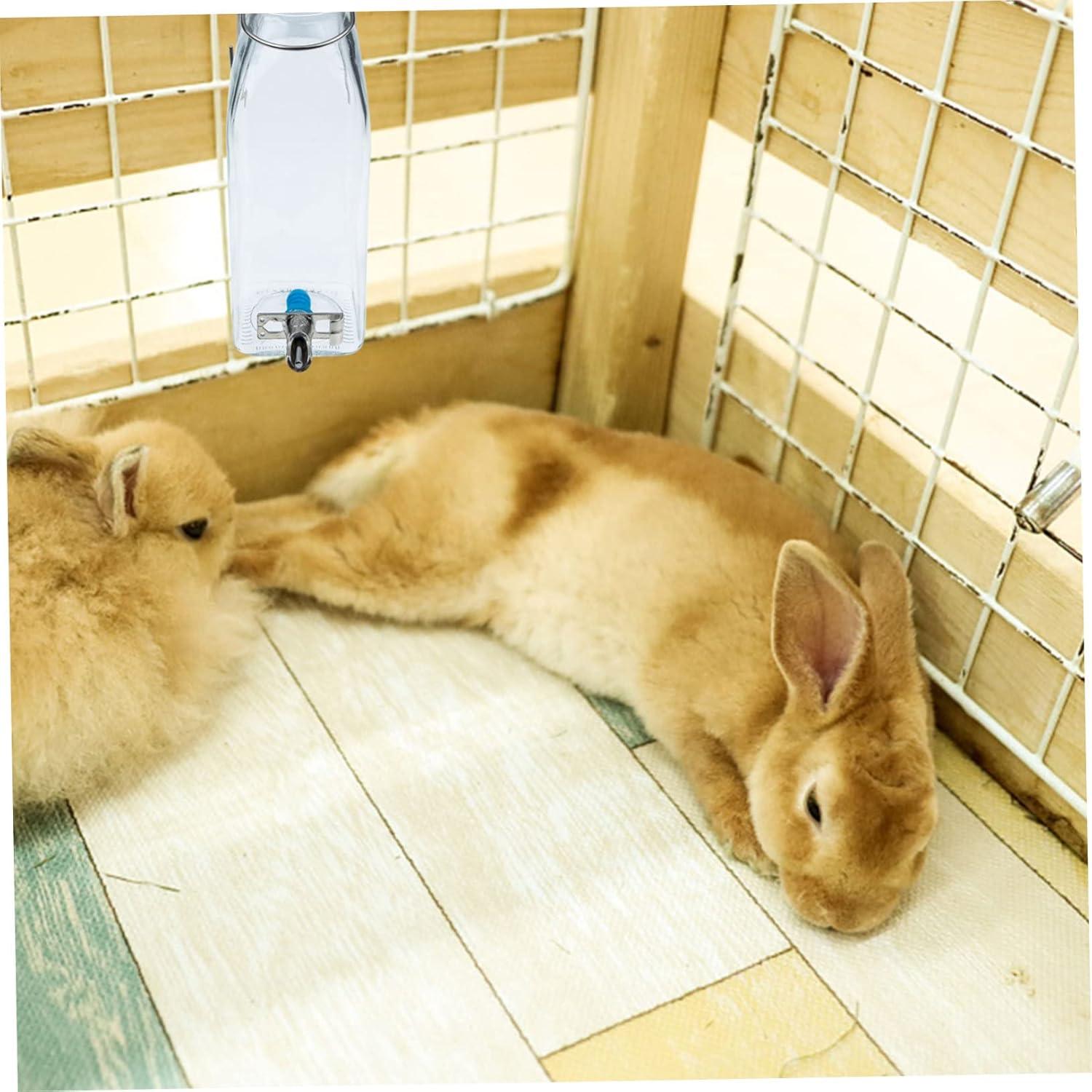 Dispensador de Agua para Mascotas PATKAW Vidrio 16.5cm