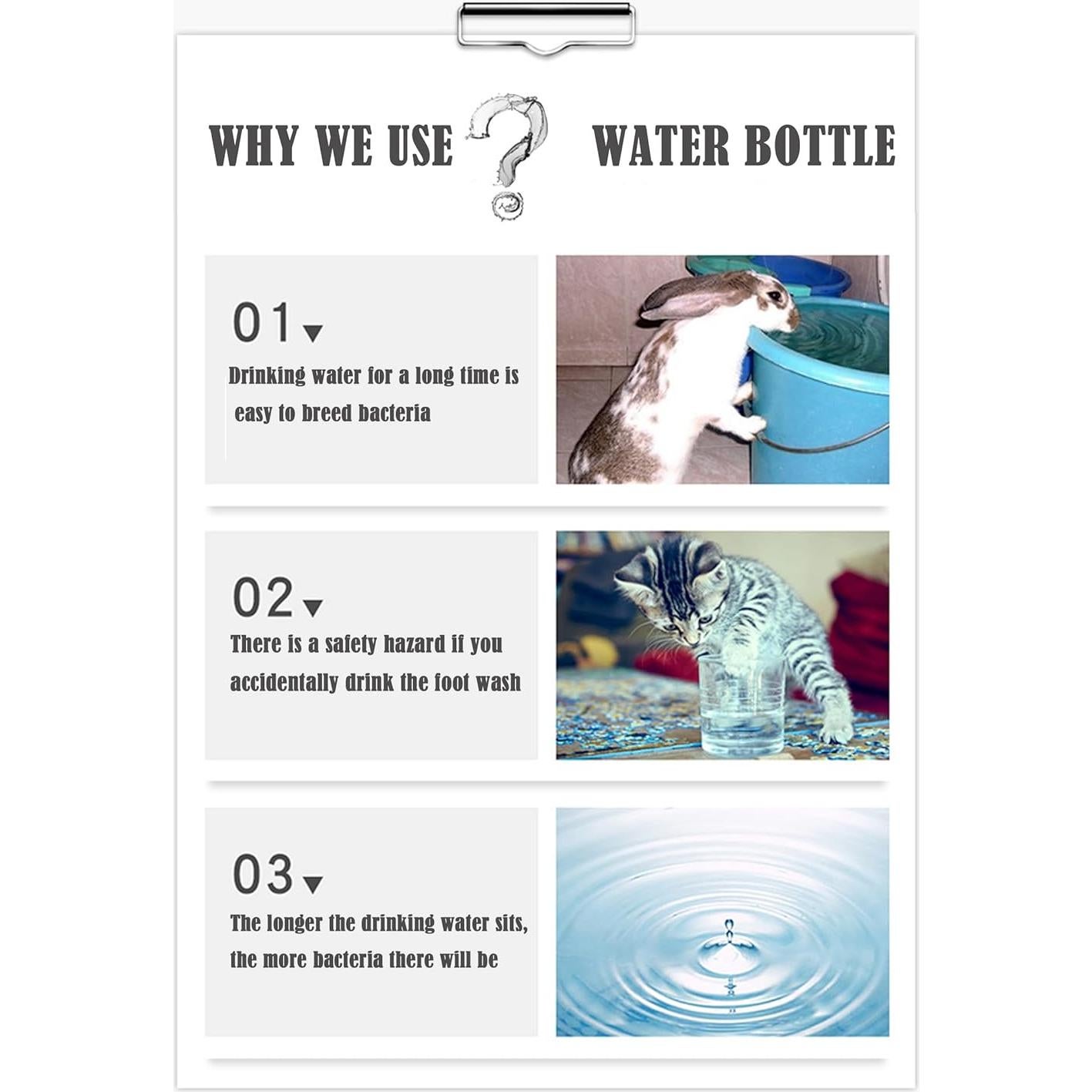 Botella de Agua para Pequeños Animales PStarD Moon 250 ml