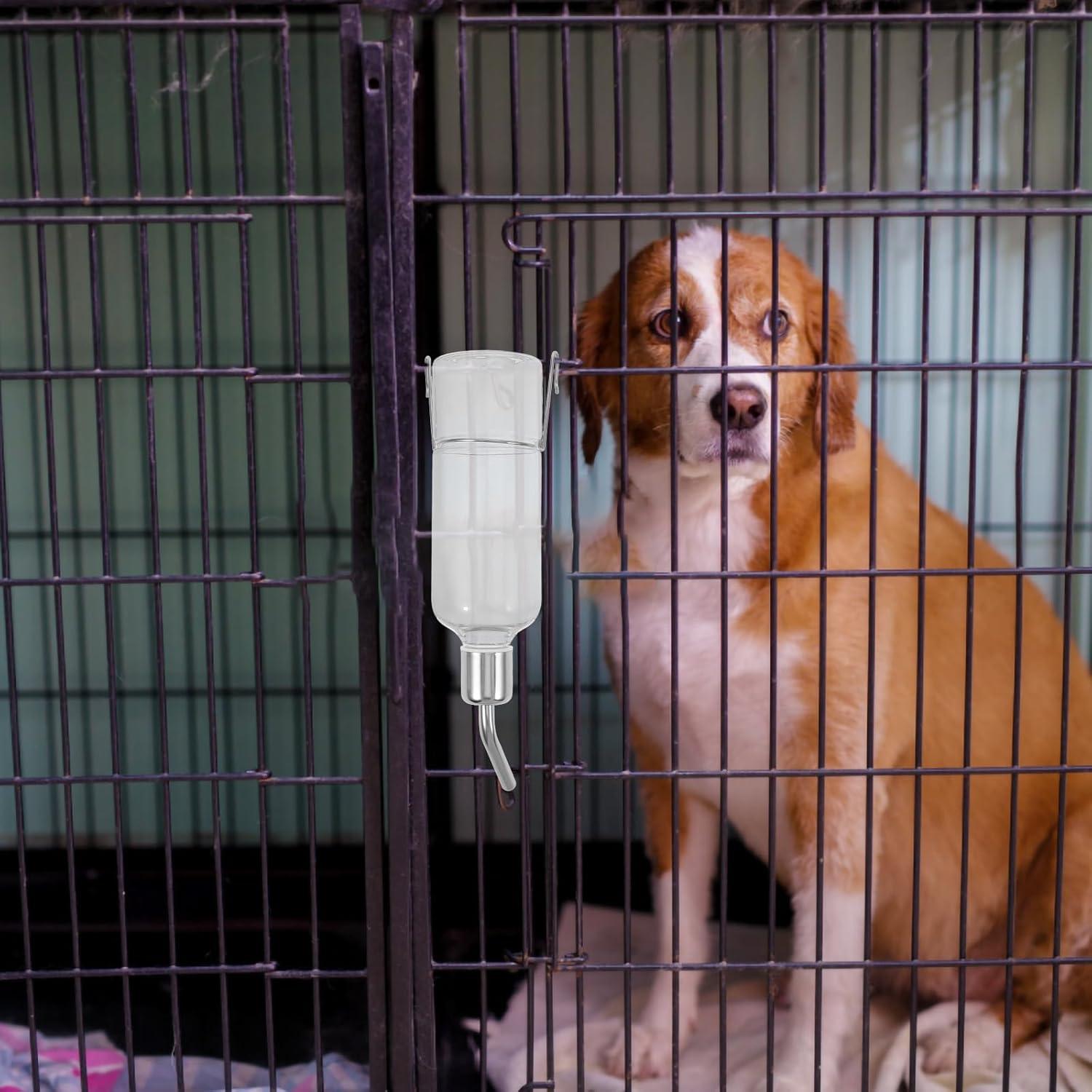 Botella de Agua para Mascotas POPETPOP 25cm Sin Goteo