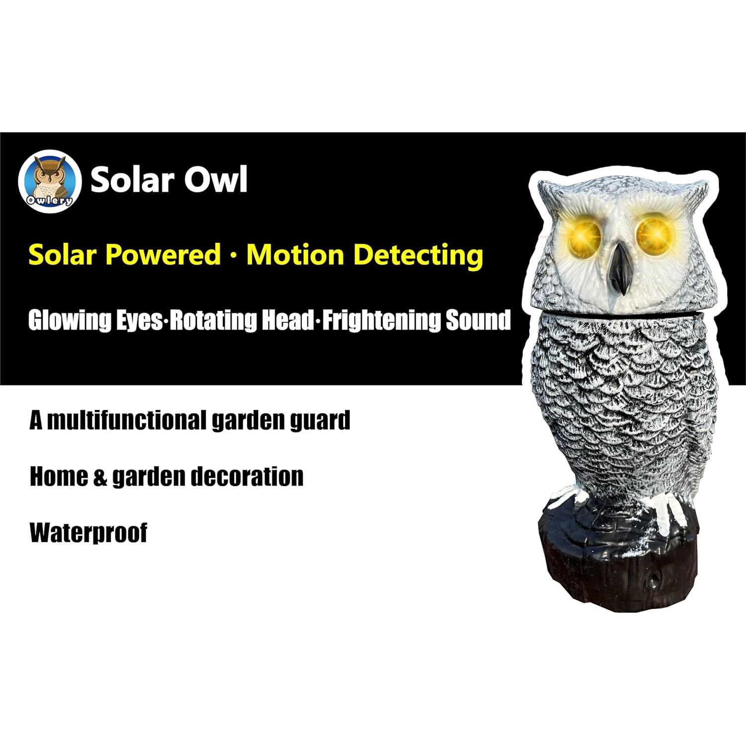 Búho Solar Owlery con Detector de Movimiento y Ojos Intermitentes
