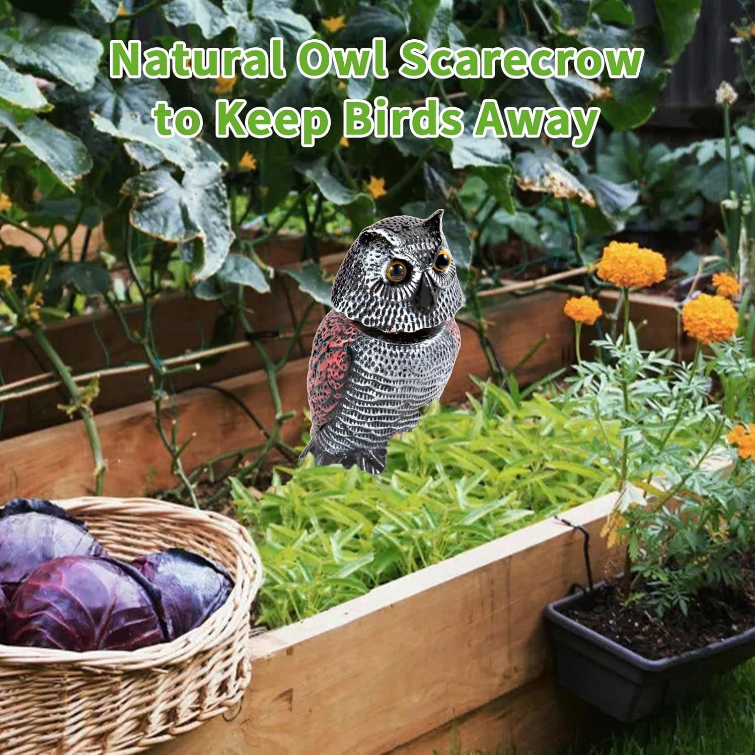 Escultura Espantapájaros Búho WonderField 21 cm - Paquete de 2