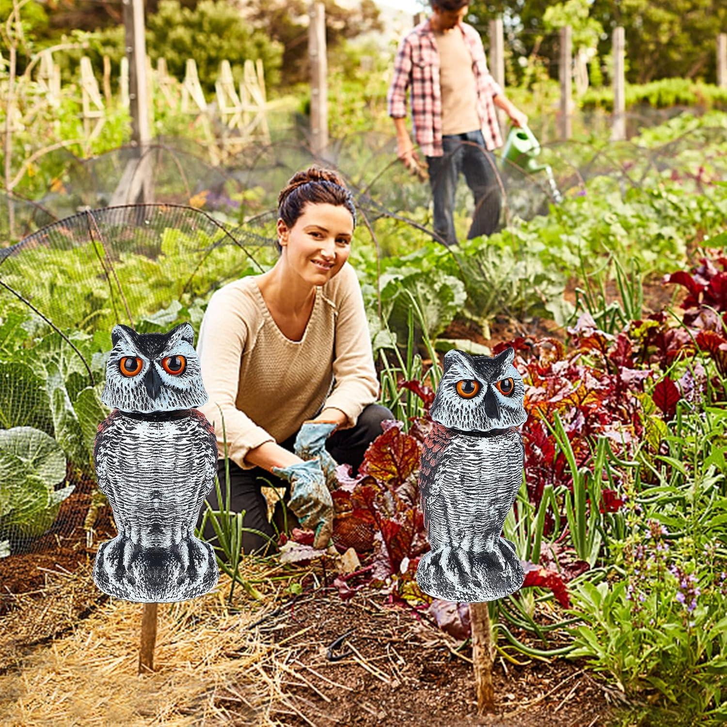 Escultura de Búho Repelente de Aves Hausse - Set de 2