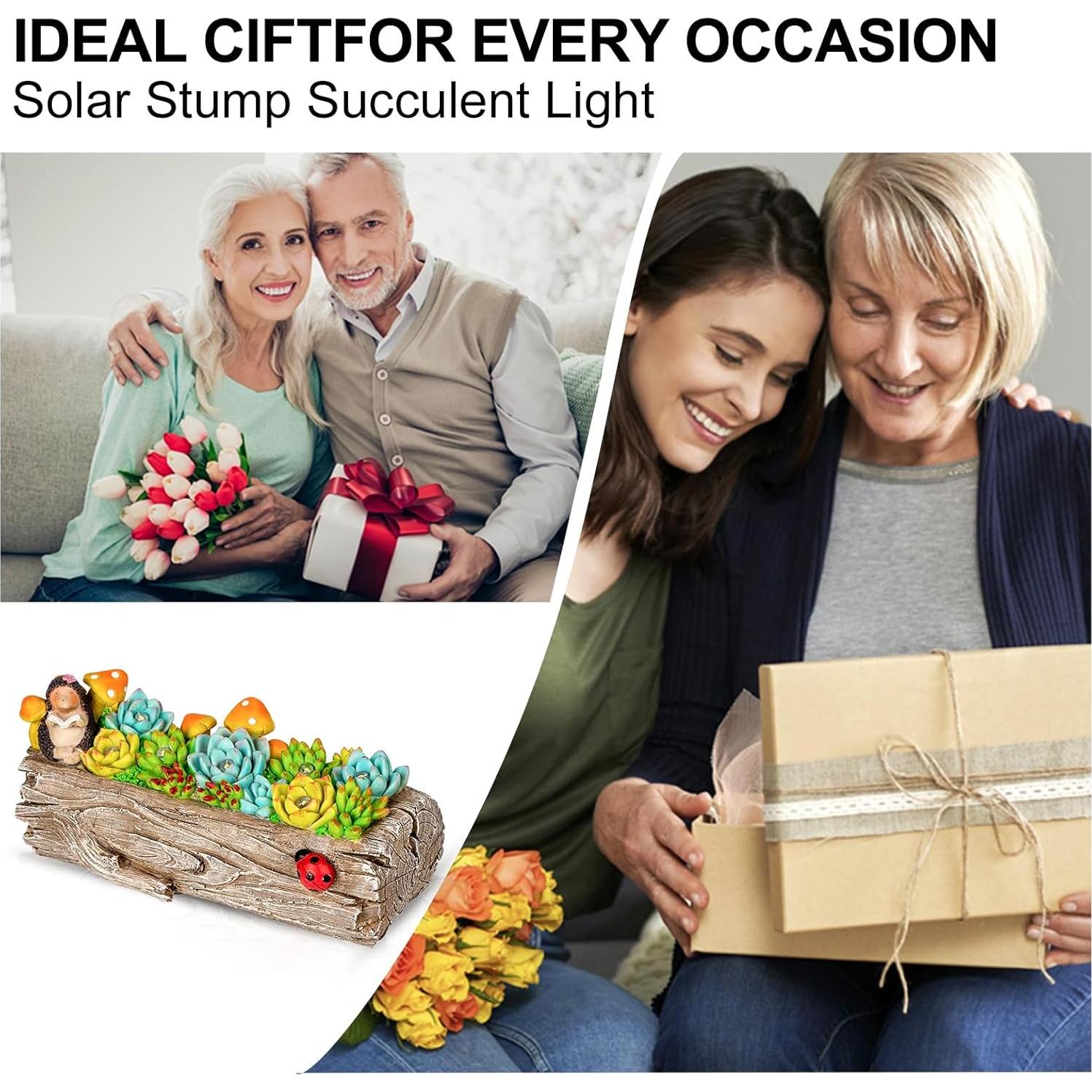 Luz Solar de Jardín ZQQLITE - Suculenta en Toco 25.4 cm