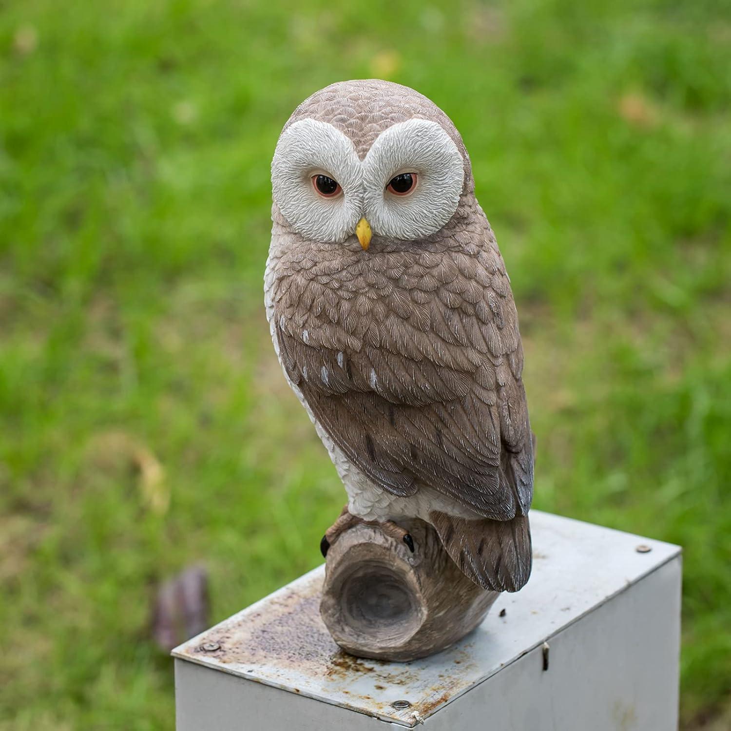 Estatua de Búho Decorativa LC LCdecohome 28 cm Resina
