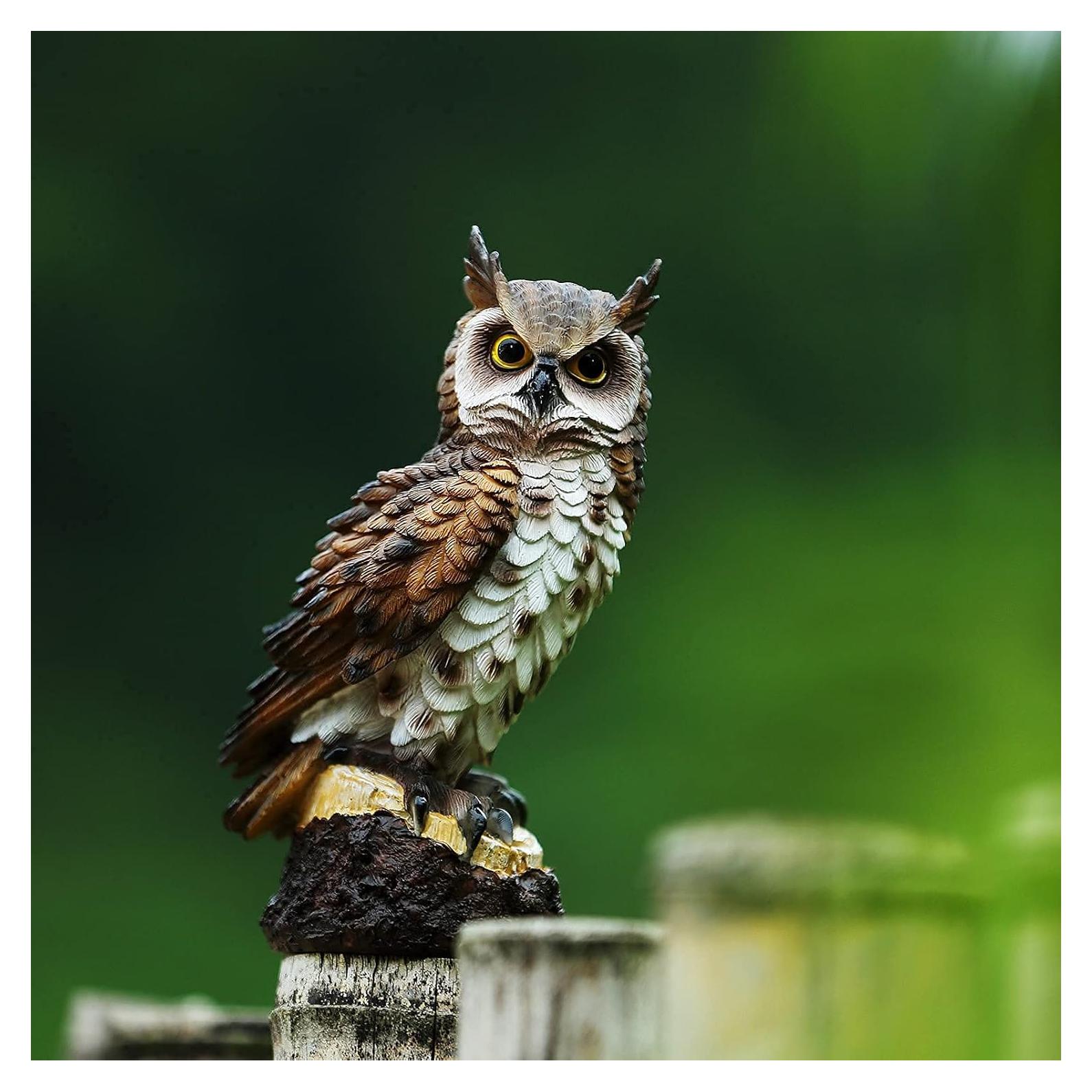 Estatua de Búho de Jardín Jeelyfu 18 cm Resina Pintada