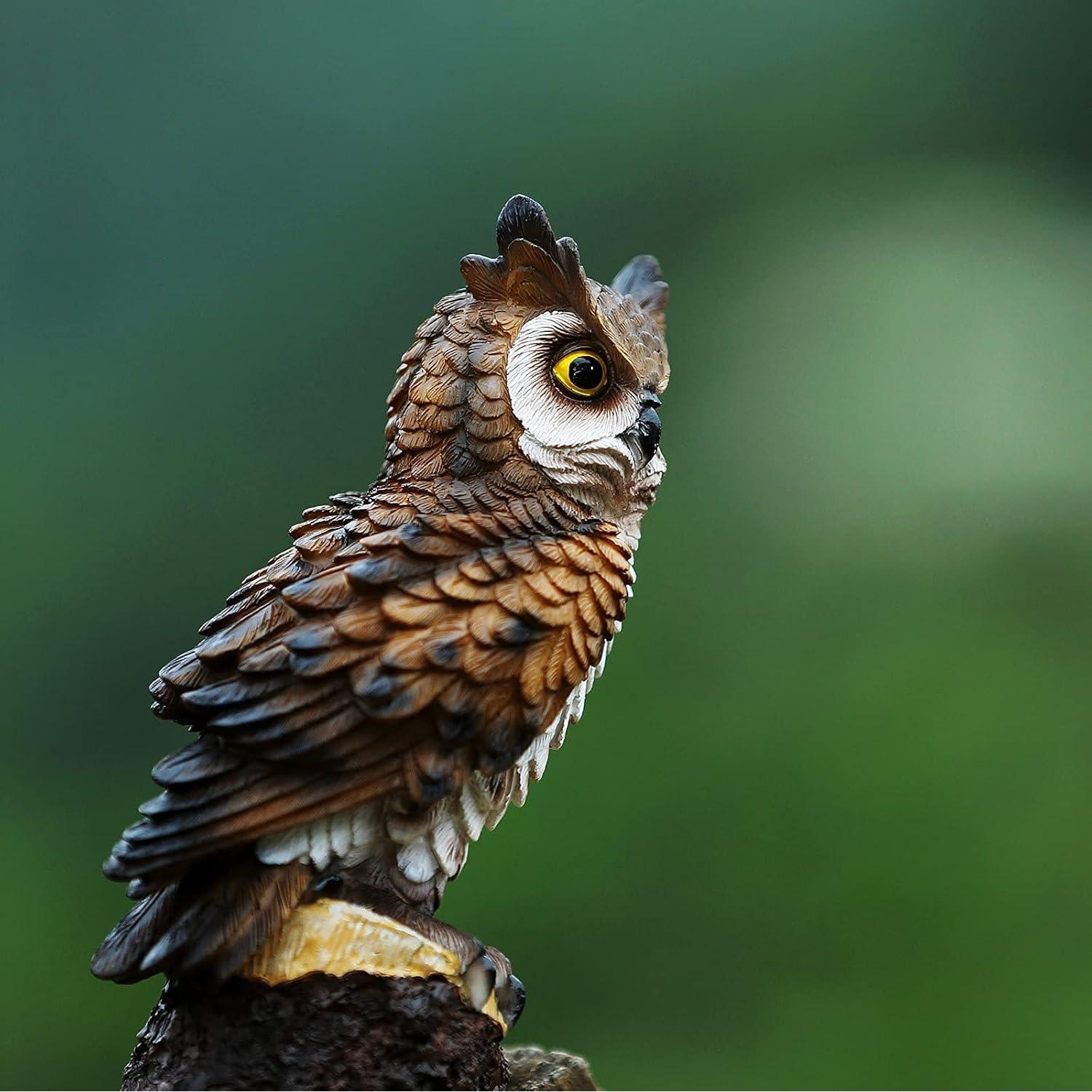 Estatua de Búho de Jardín Jeelyfu 18 cm Resina Pintada