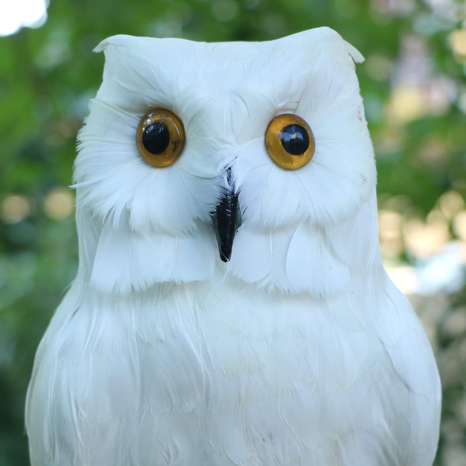 Figura de Búho Plumado Realista Basuo-9Q 27 cm Decoración