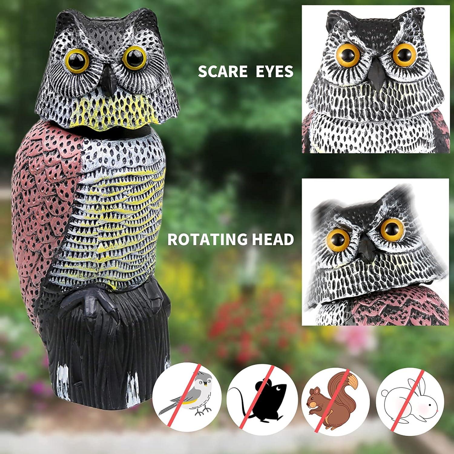 Decoy de Búho CTREE para Ahuyentar Aves - Impermeable y Realista