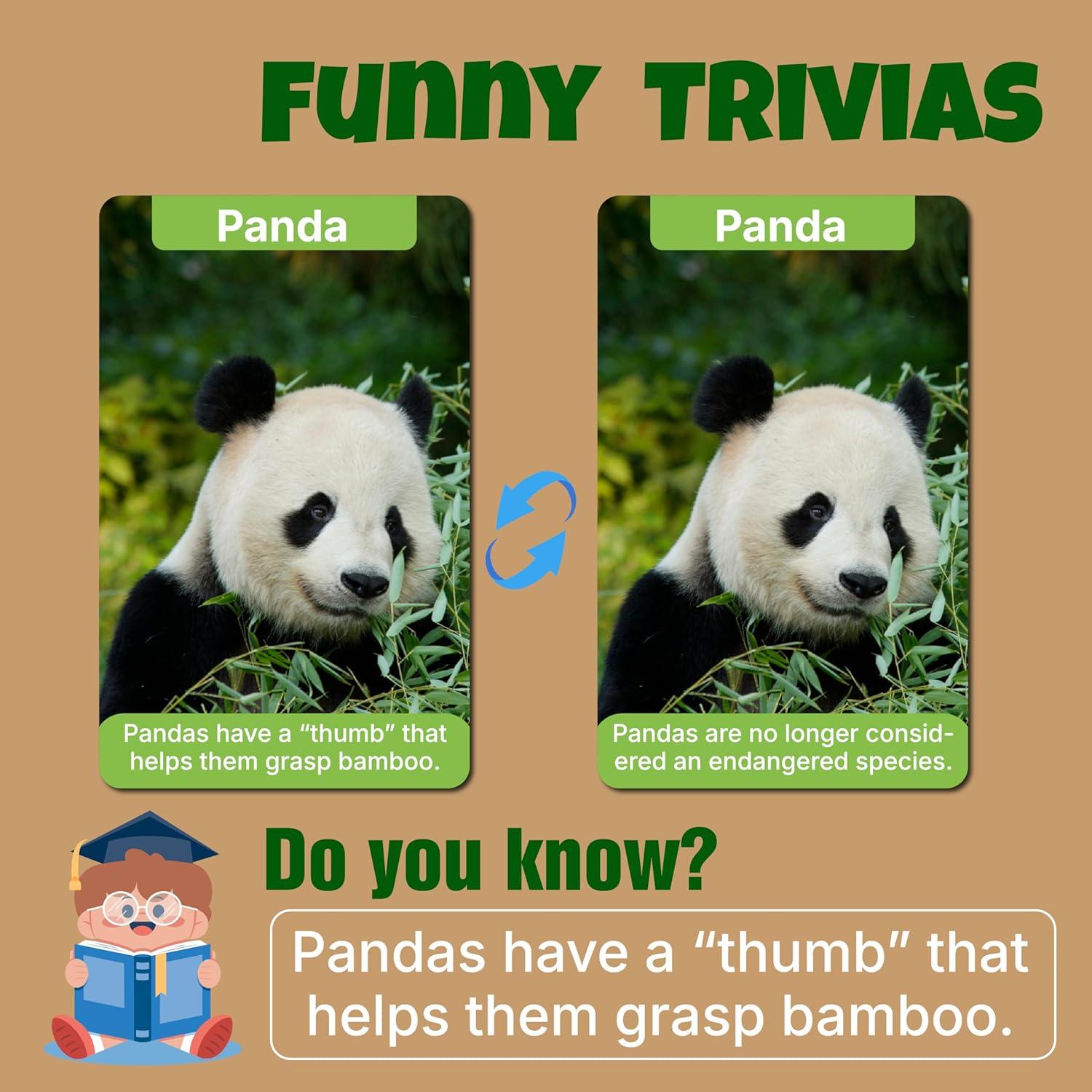 Juego de Cartas Animal Go Fish EDUMAETRIX - 72 Cartas Educativas