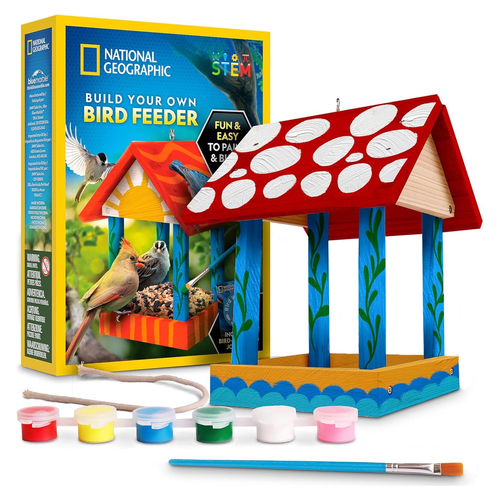 Kit de Alimentador de Aves DIY Blue Marble - Manualidad para Niños