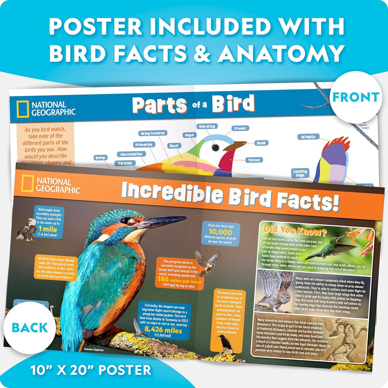 Kit de Alimentador de Aves DIY Blue Marble - Manualidad para Niños