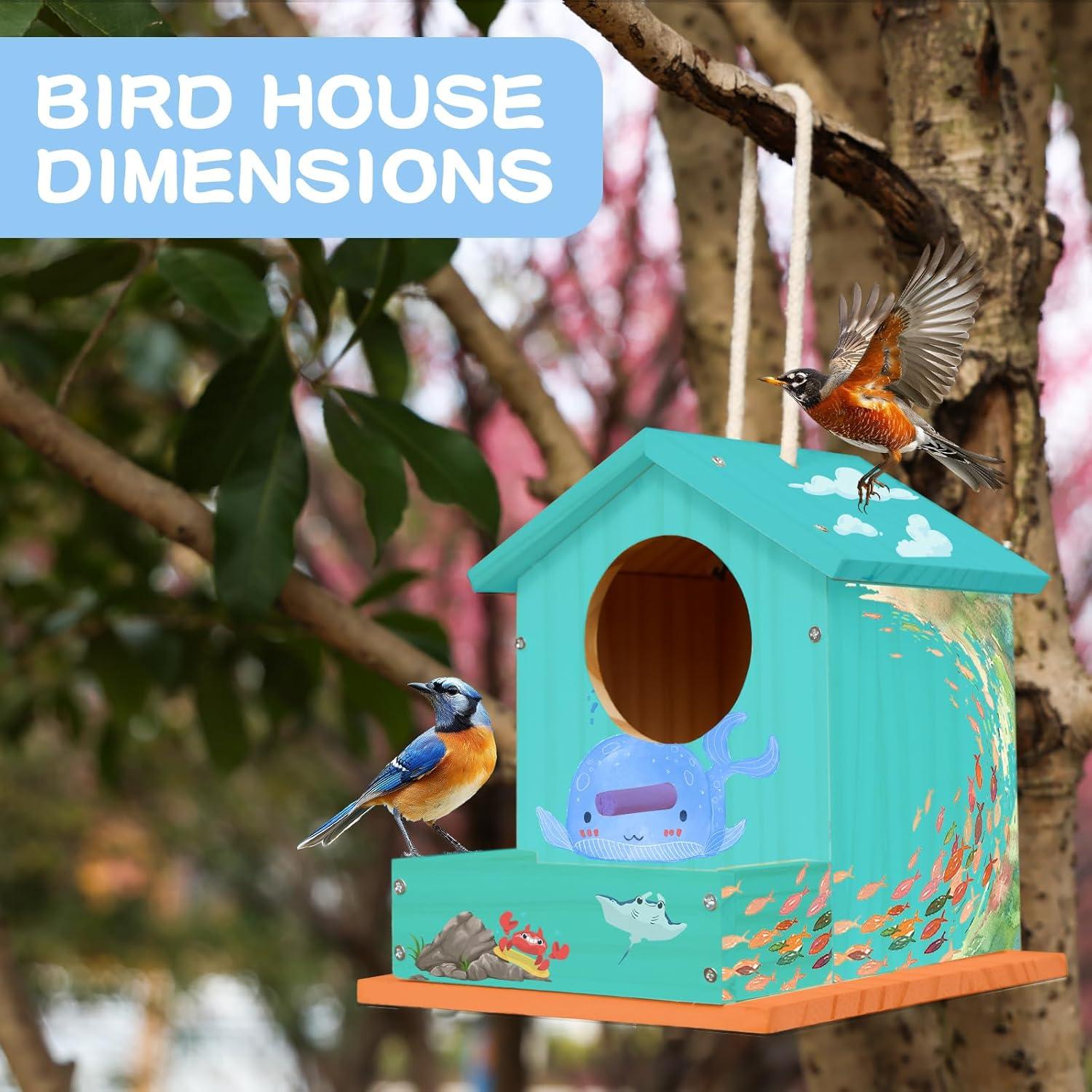 Kit Casa para Aves DIY ROKENPOY - 4 Paquetes de Madera