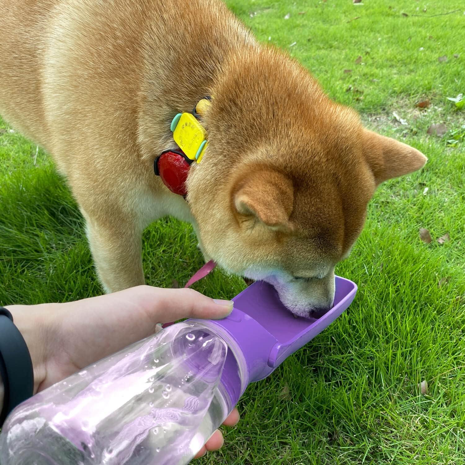 Botella de Agua Plegable WePet 350ml para Perros a Prueba de Fugas