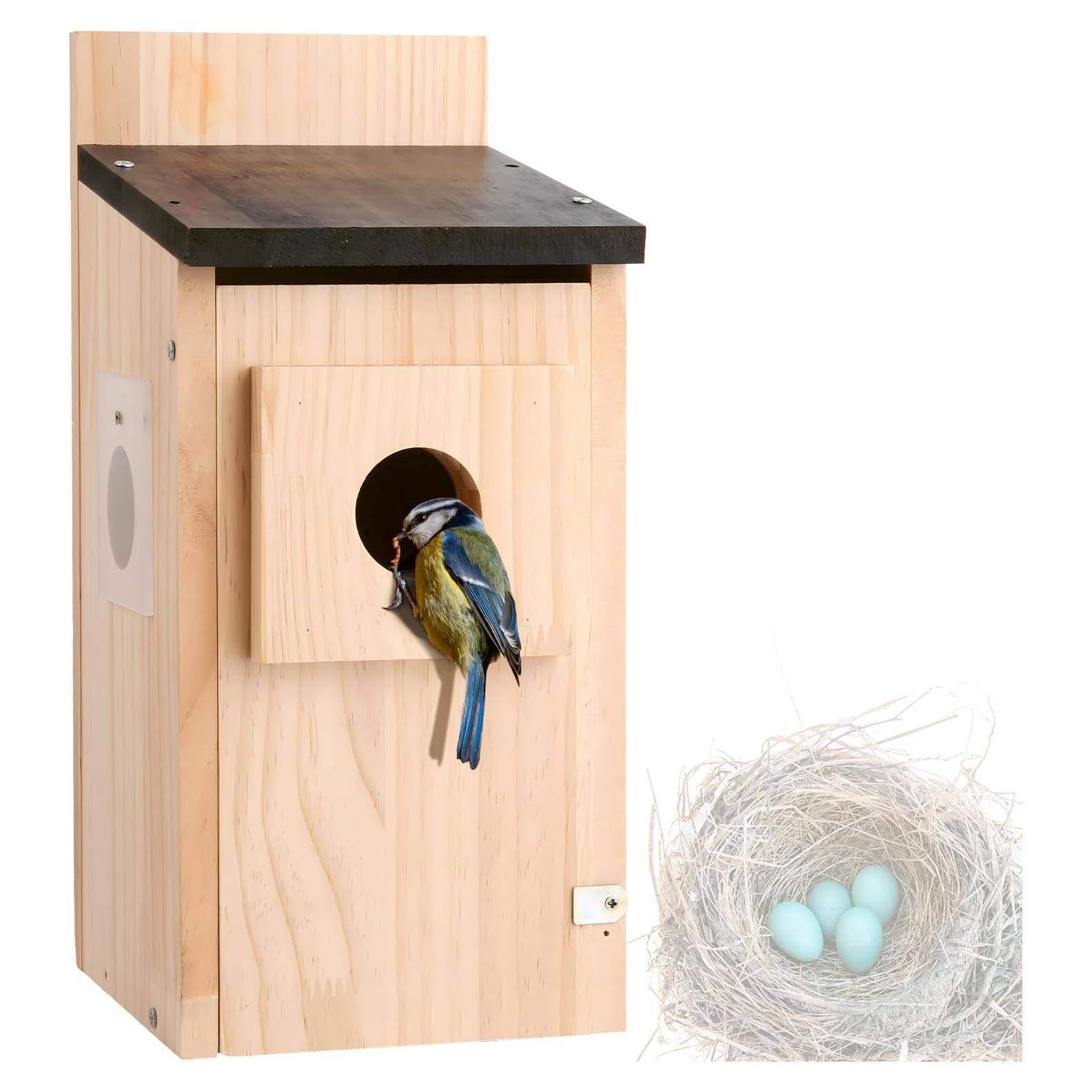 Kit Casa para Aves DIY Eyrizon de Madera de Cedro con Protector