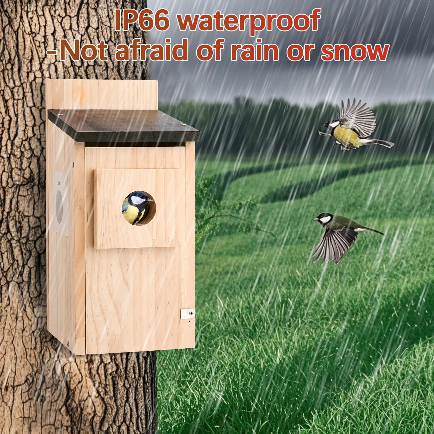 Kit Casa para Aves DIY Eyrizon de Madera de Cedro con Protector